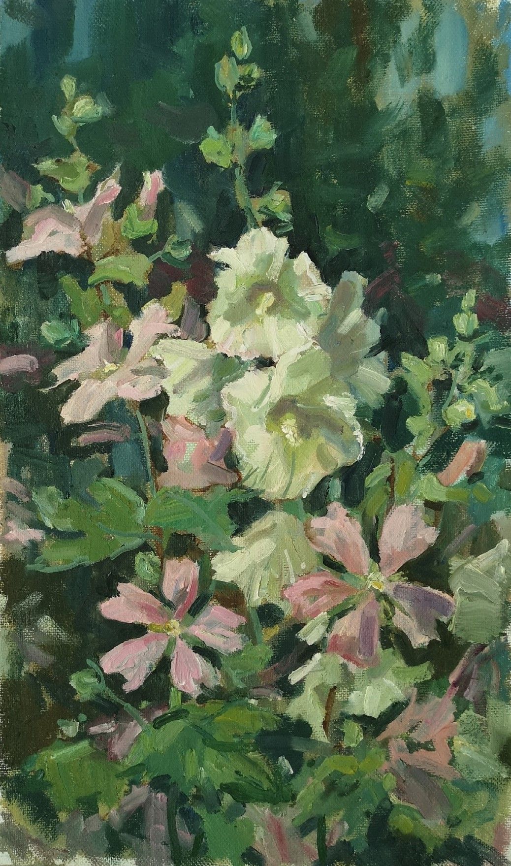 Елена Санина (Картина, живопись - 
                  27 x 47 см) Воздушная мальва