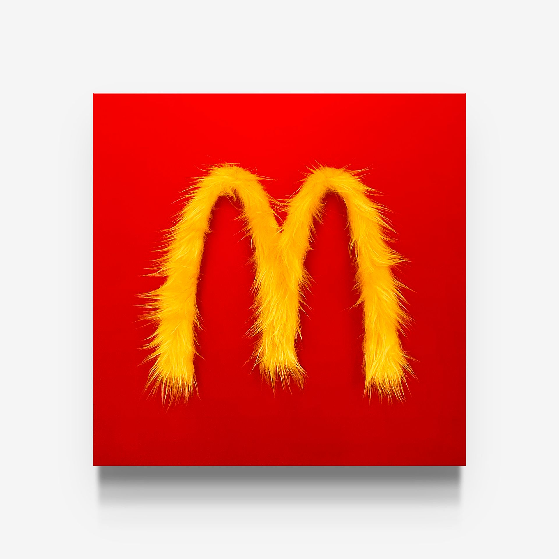 Павел Балыкин (Коллаж / ассамбляж - 
                  50 x 50 см) McDonalds fur logo