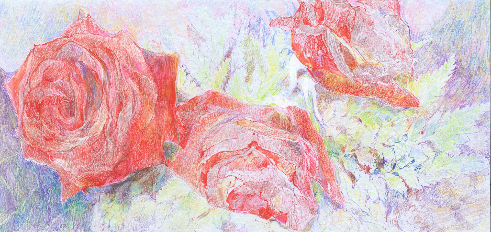 Саша Медведева (Авторская графика - 
                  70 x 33 см) 3 розы заверните, пожалуйста