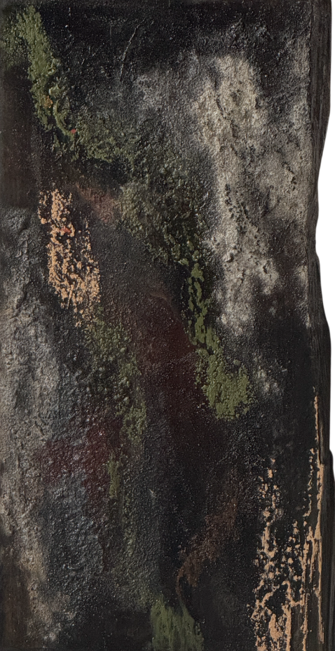Маша Табак (Картина, живопись - 
                  25 x 50 см) Stratum Profundum. V