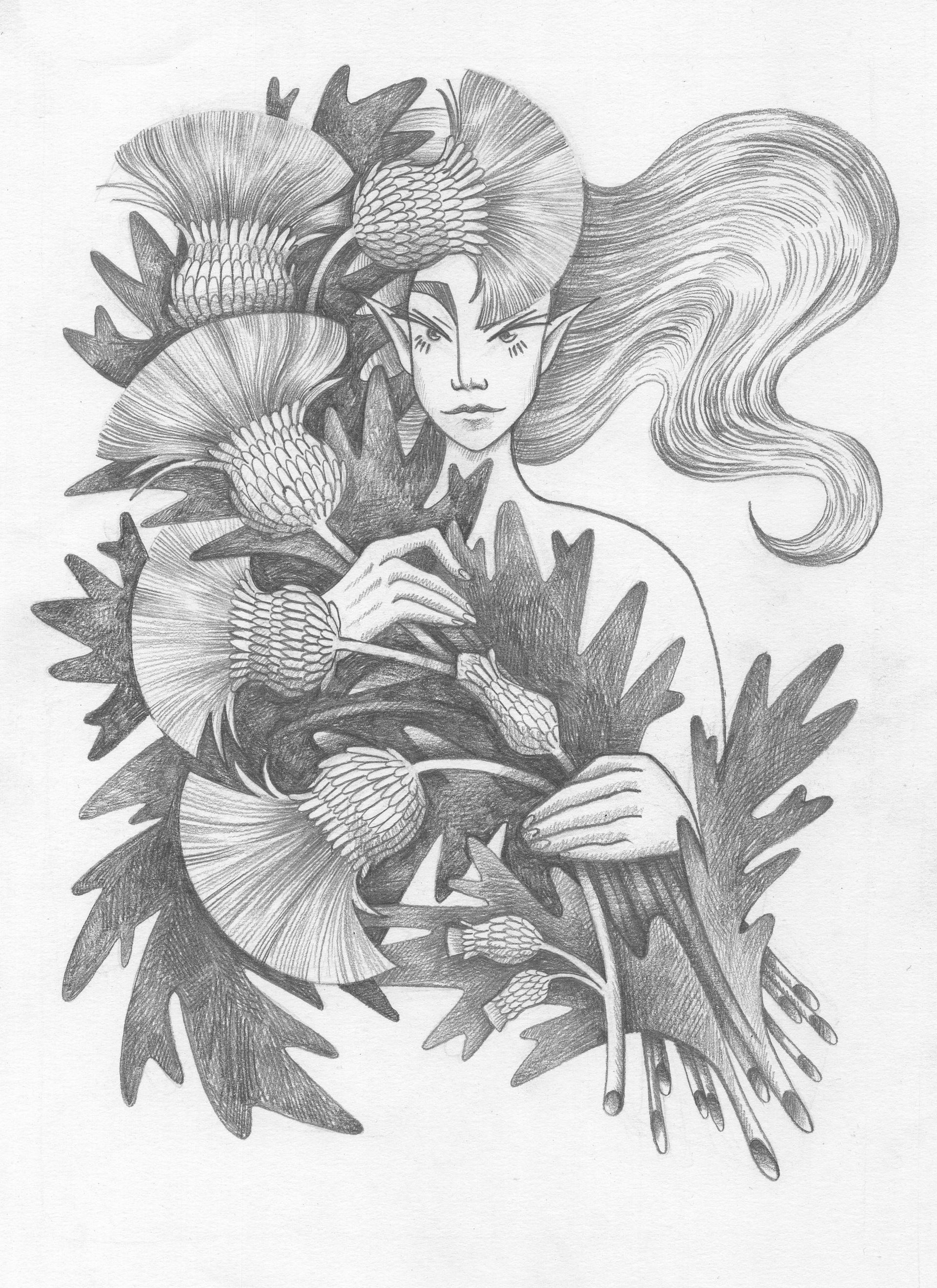 Витана Маковская (Авторская графика - 
                  21 x 29.7 см) Чертополох