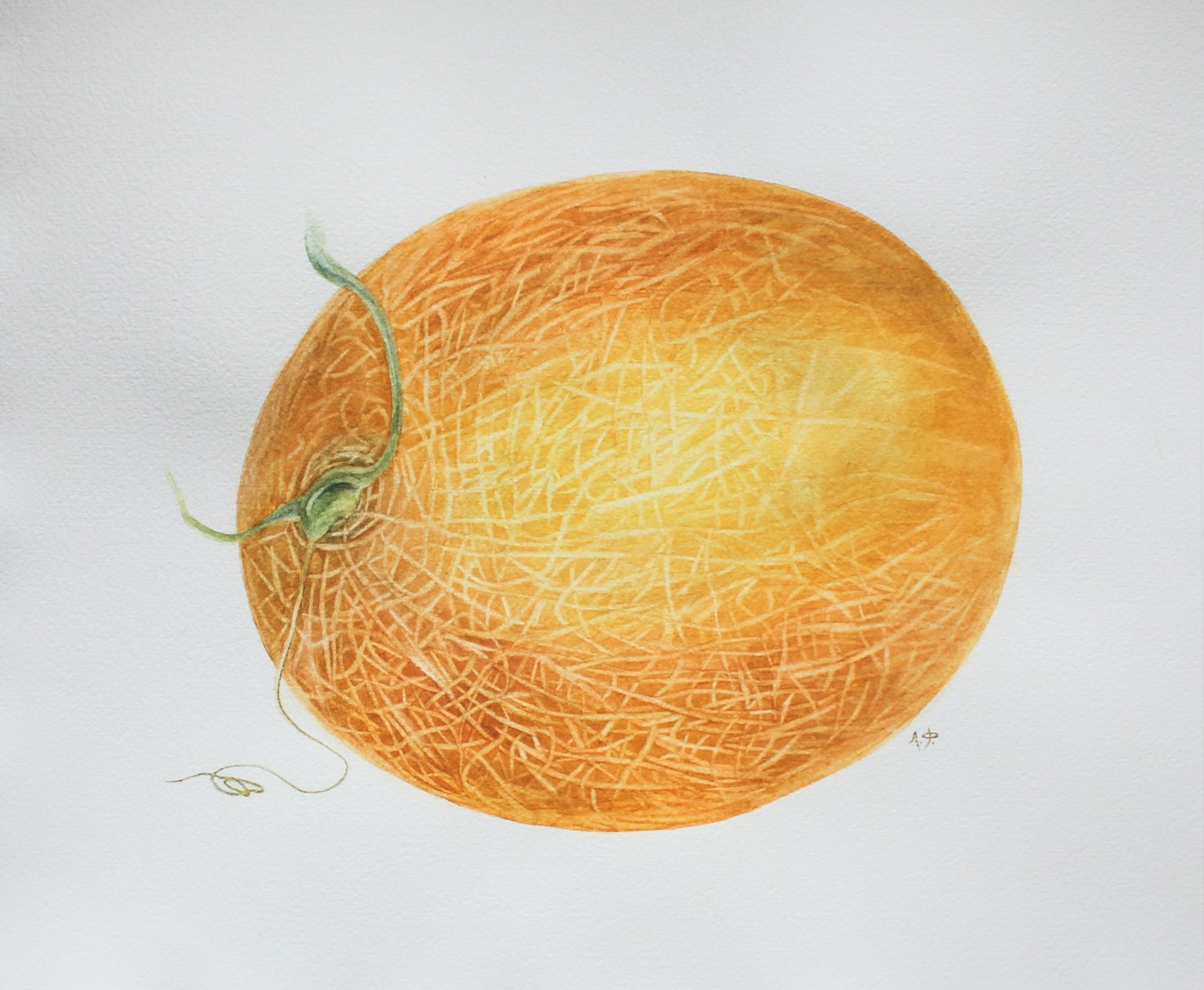 Любовь Фонарева (Авторская графика - 
                  38.2 x 32.3 см) Дыня