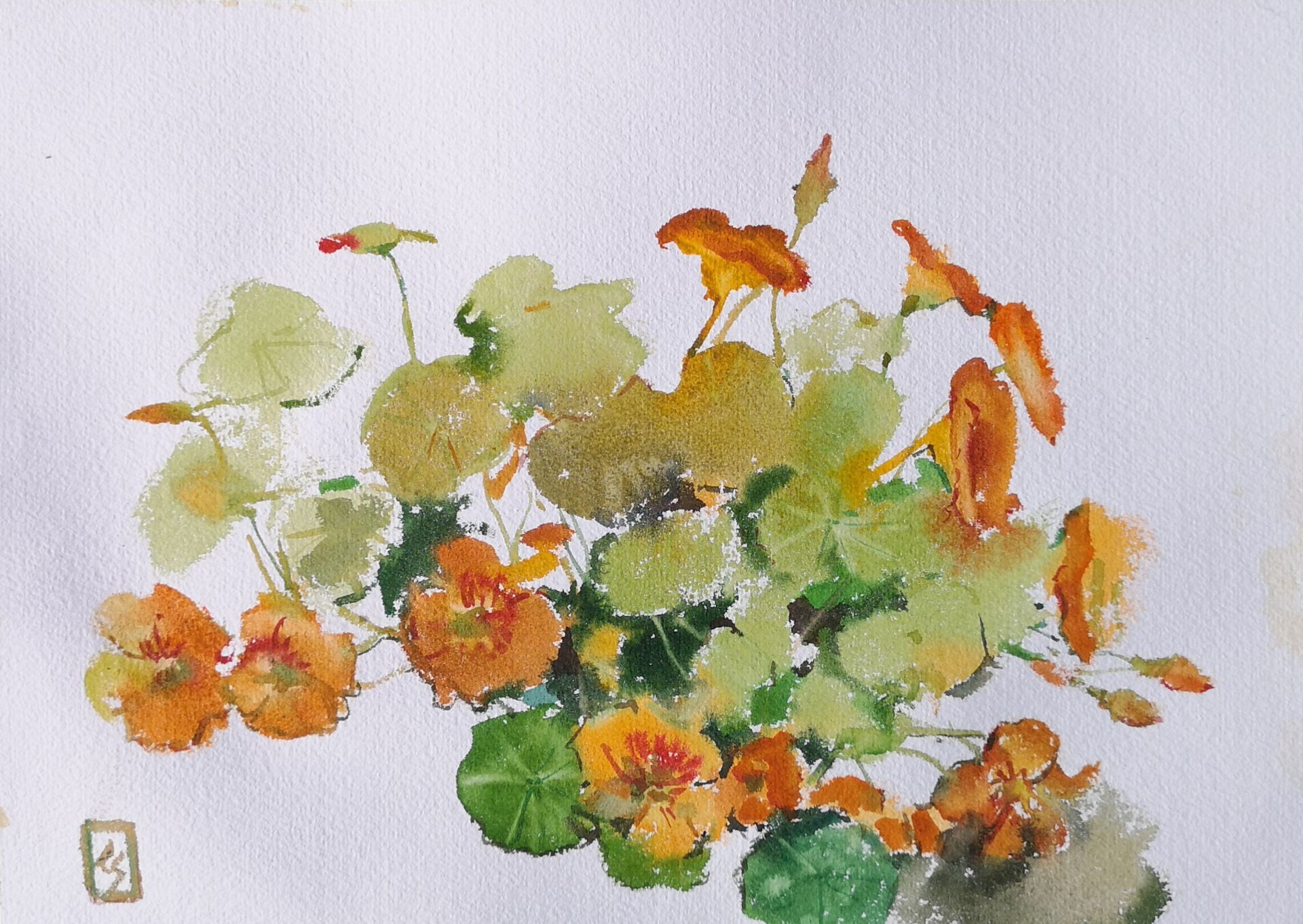 Елена Санина (Авторская графика - 
                  36 x 26 см) Настурция