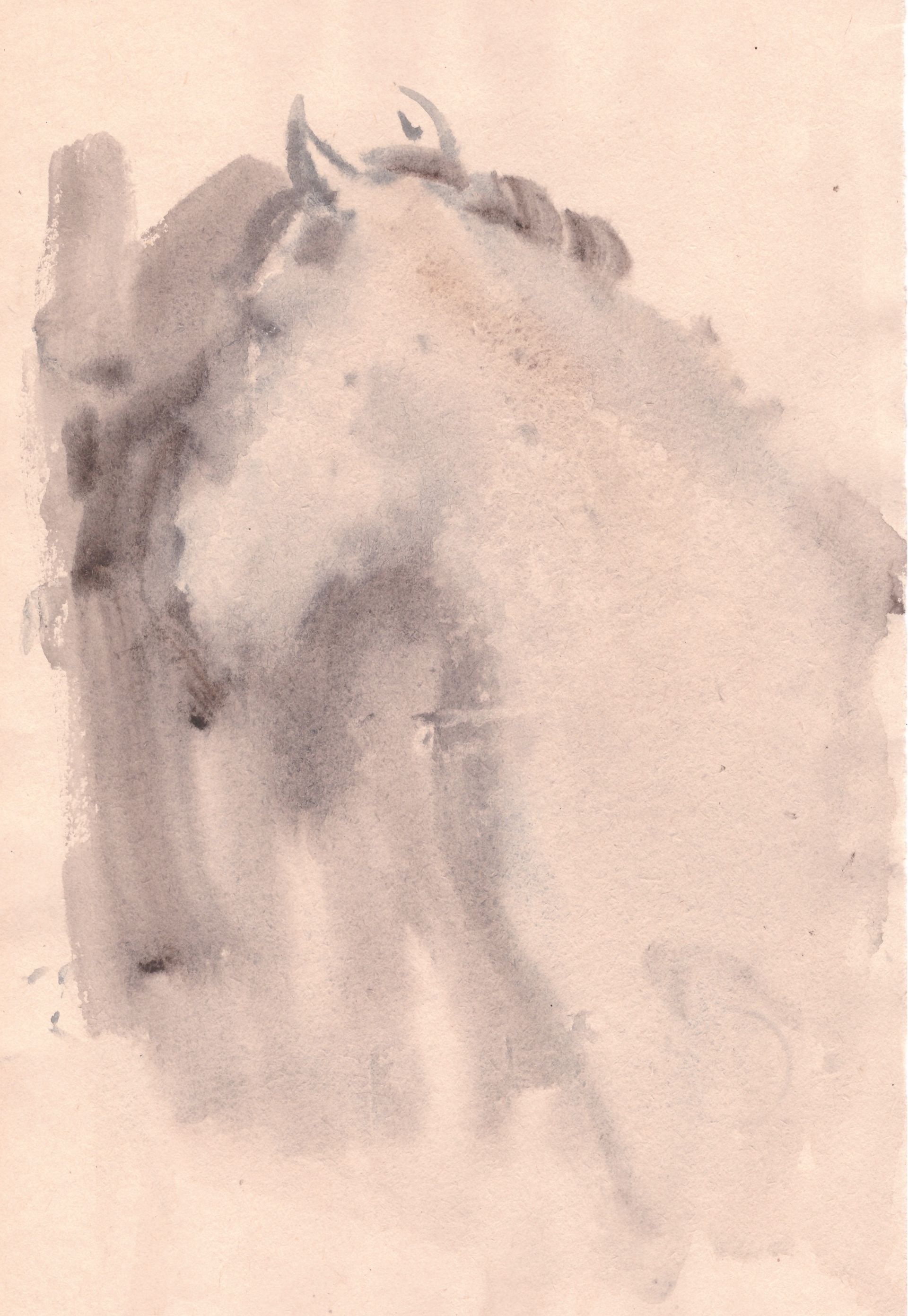 Надежда Воронцова (Авторская графика - 
                  20 x 30 см) Лошадь в тумане