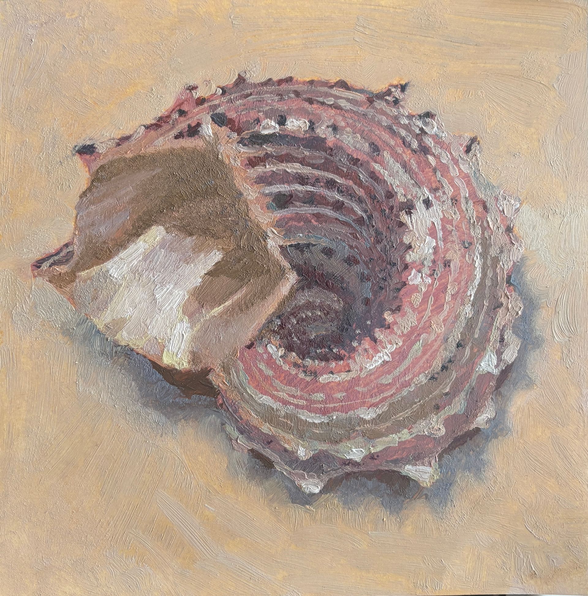 Виктория Рамазанова (Авторская графика - 
                  19 x 19 см) Angaria delphinus