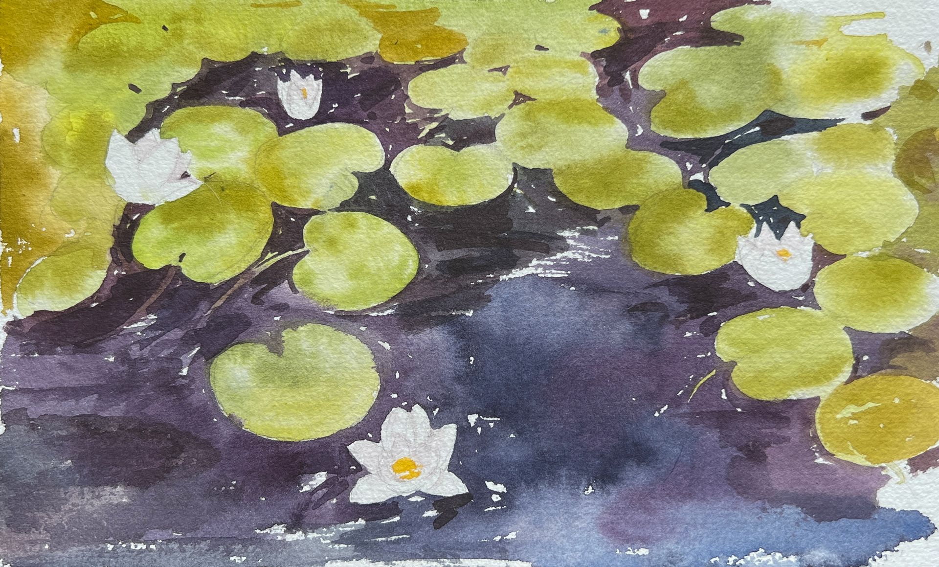 Valentine Solonski (Авторская графика - 
                  25 x 15 см) Кувшинки из ботанического сада