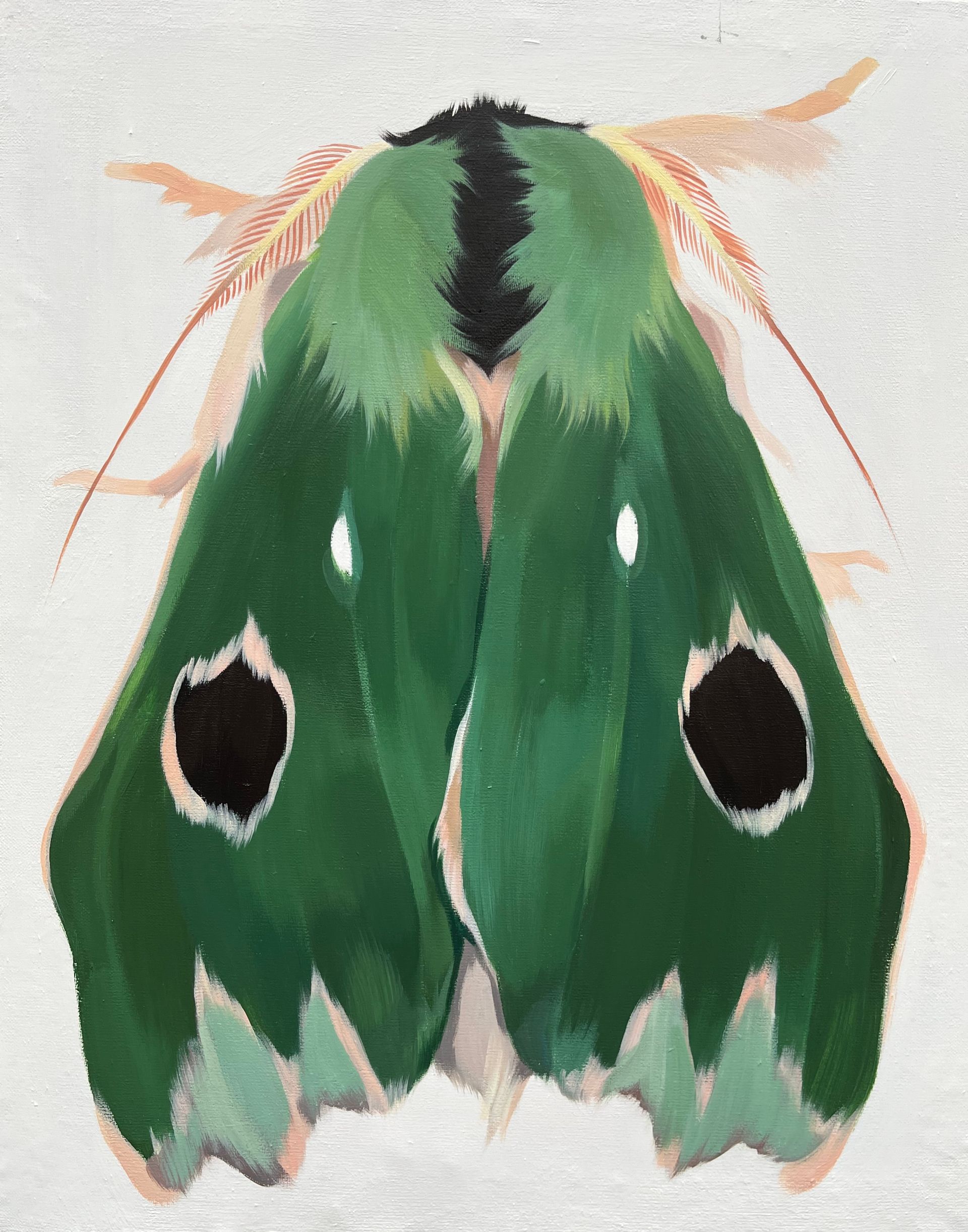 Маша Лам (Картина, живопись - 
                  50 x 62.5 см) Зеленый мотылек
