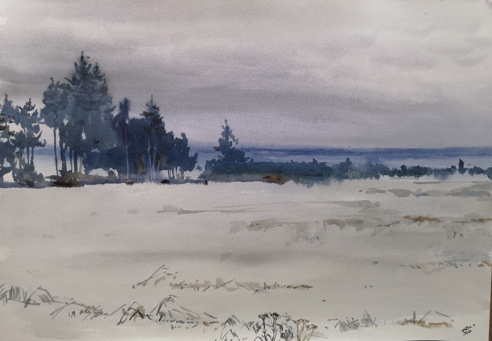 Елена Санина (Авторская графика - 
                  42 x 30 см) Январь