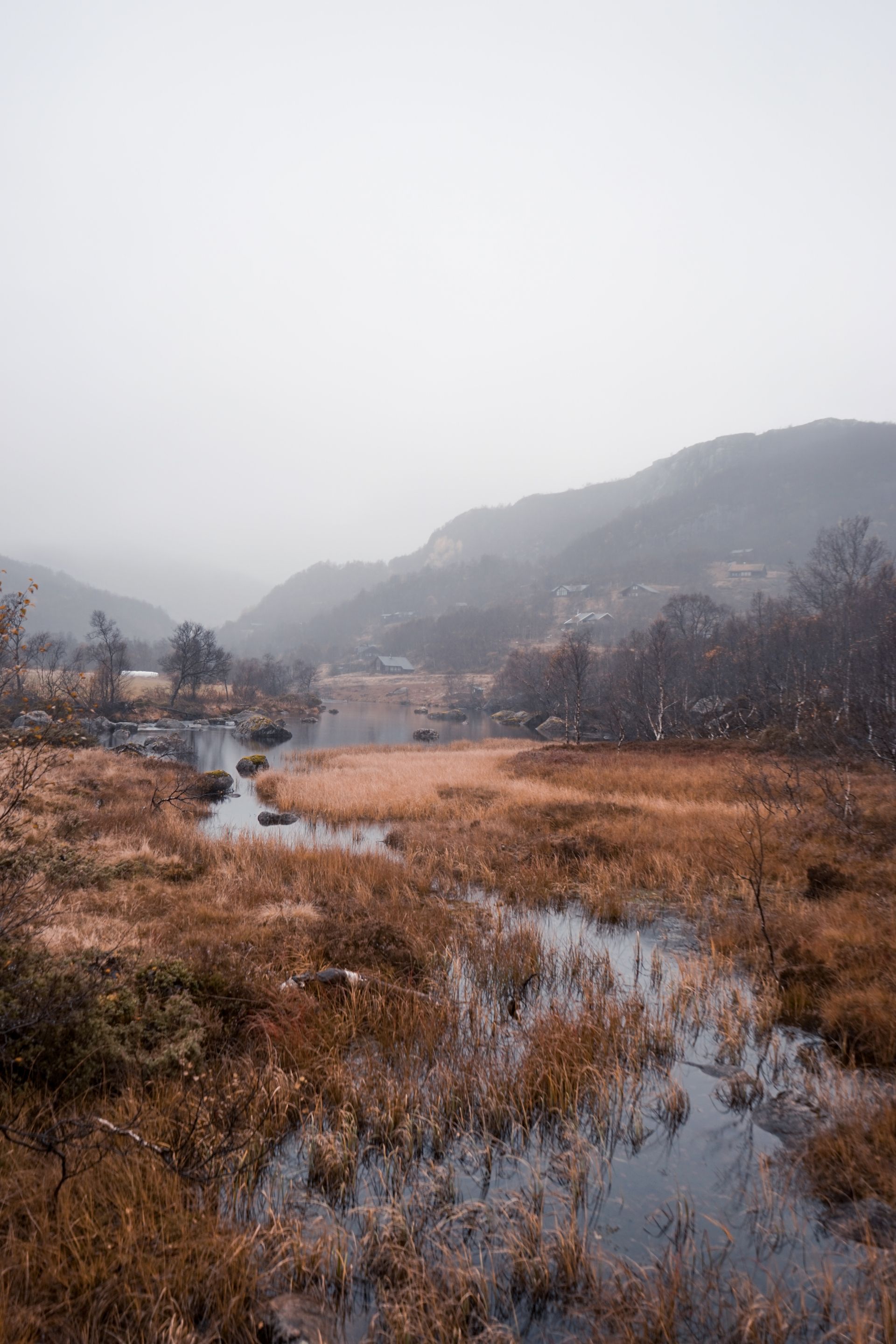 Валентина Кулешова (Фотография - 
                  66 x 96 см) The stream