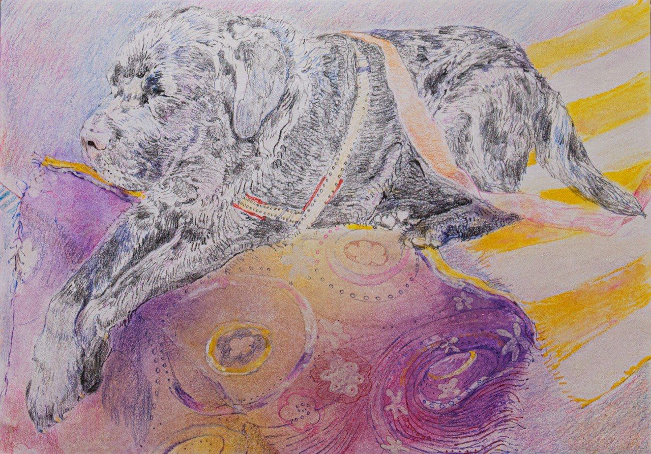 Саша Медведева (Авторская графика - 
                  42 x 30 см) Бруно