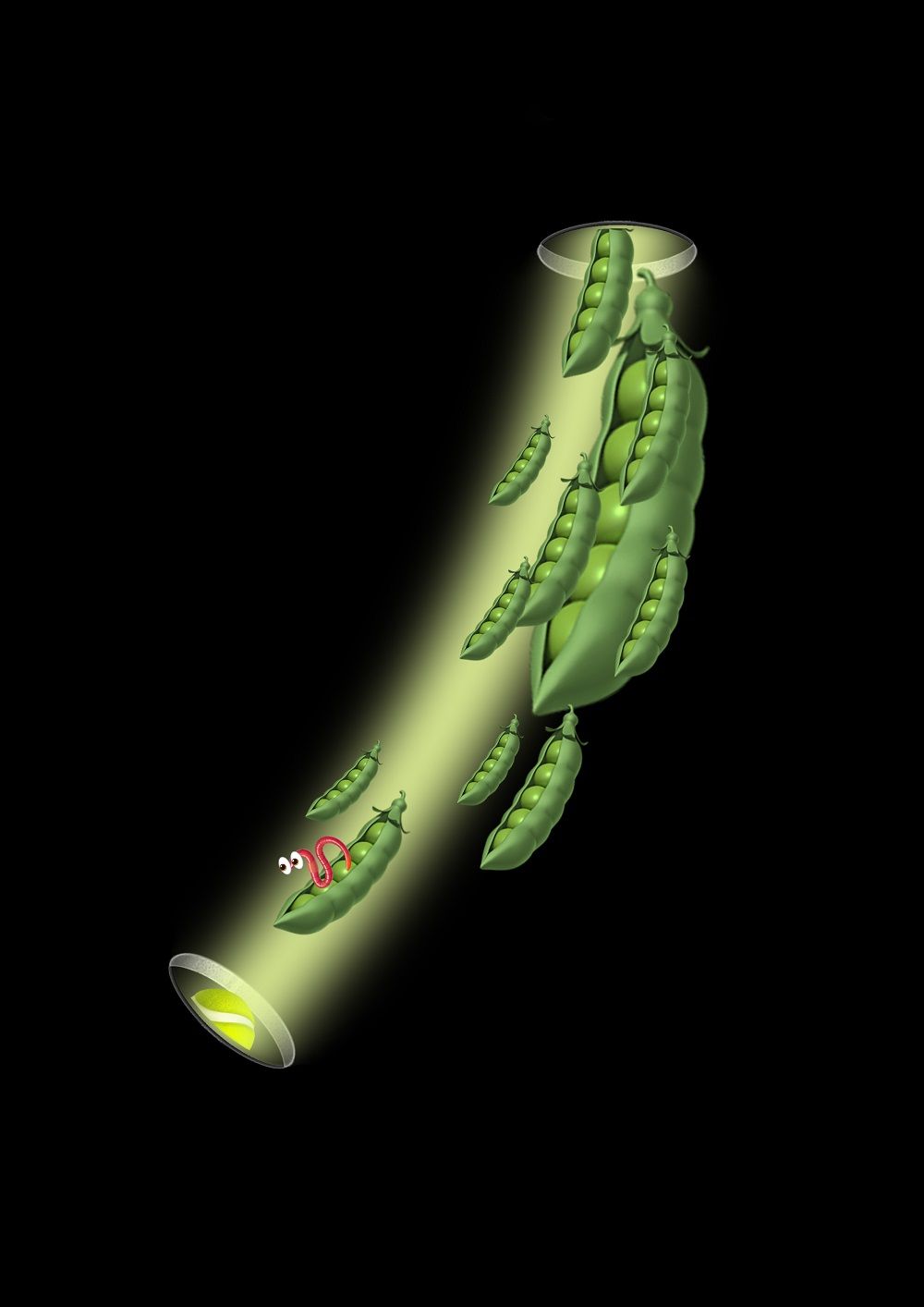 Александр Зайцев (Графика цифровая (принты) - 
                  21 x 29.7 см) Горох с червяком