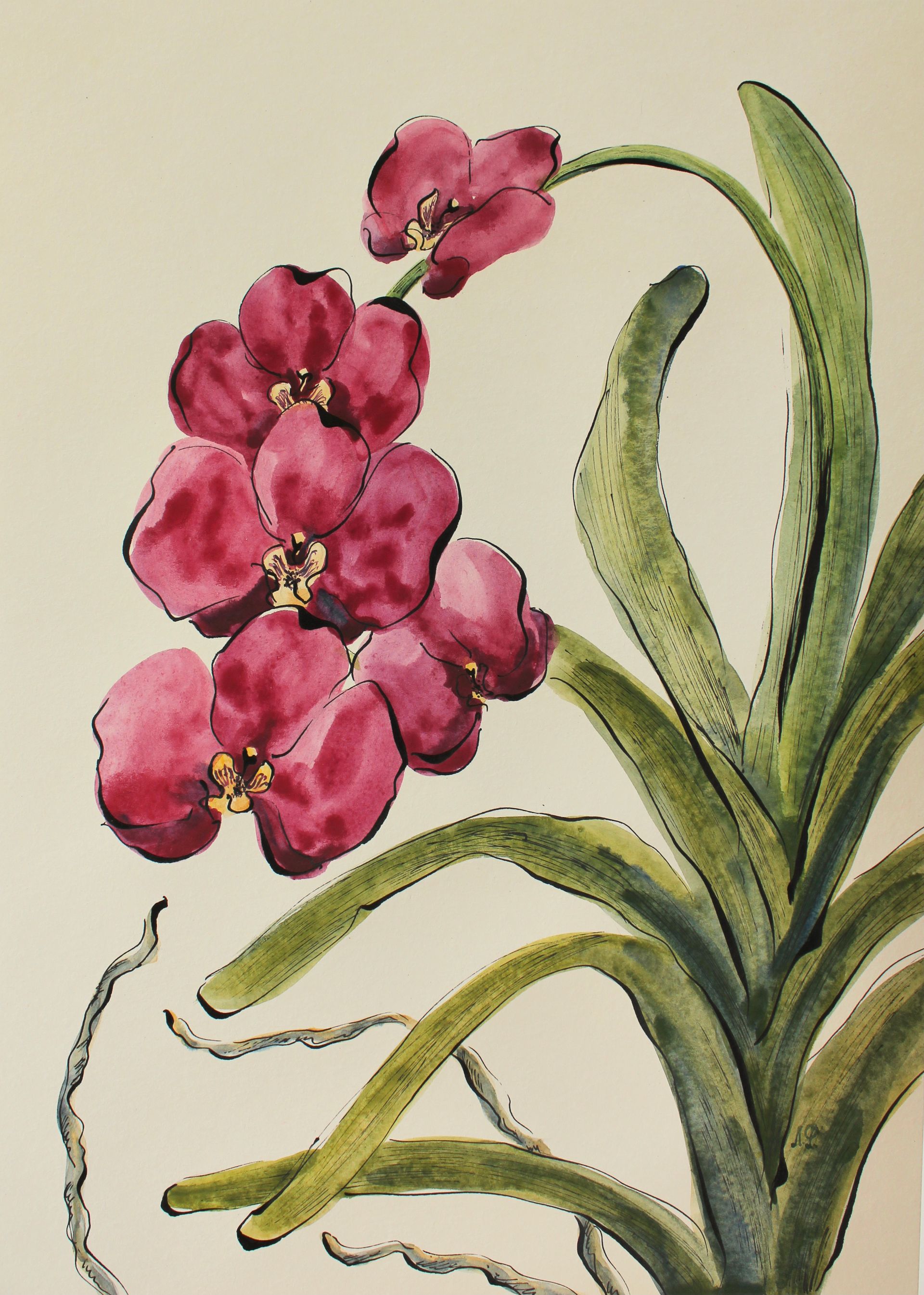 Любовь Фонарева (Авторская графика - 
                  29.6 x 41.8 см) Орхидея