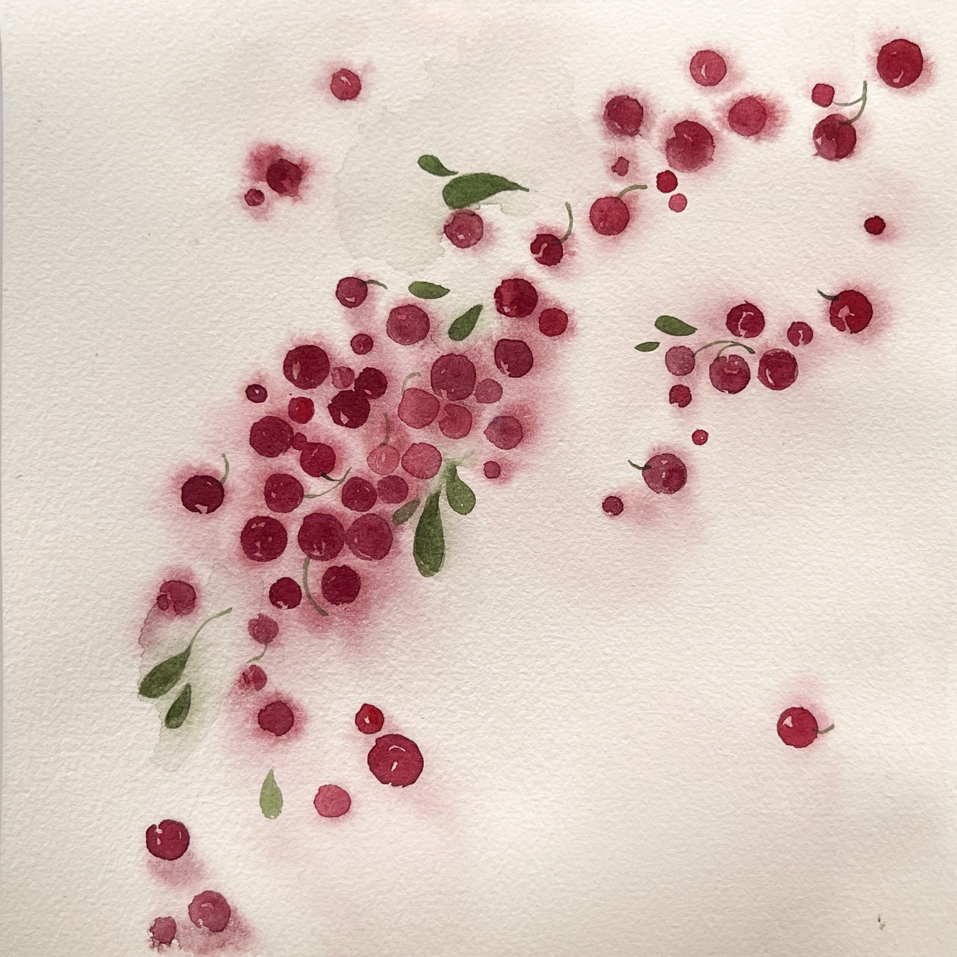 Valentine Solonski (Авторская графика - 
                  20 x 20 см) Брусника 4