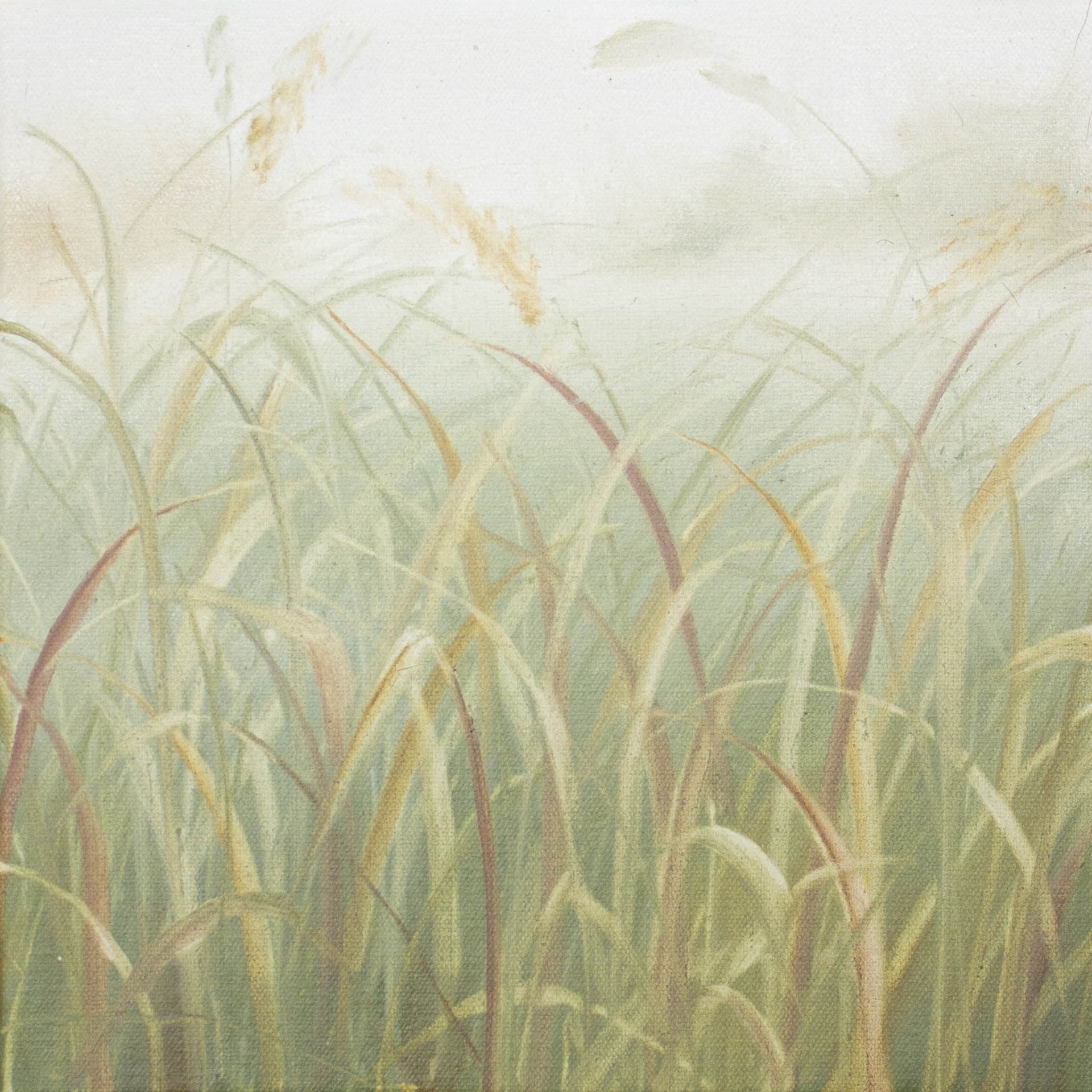 Татьяна Прокшина (Картина, живопись - 
                  30 x 30 см) Травы 260201-1. Разные