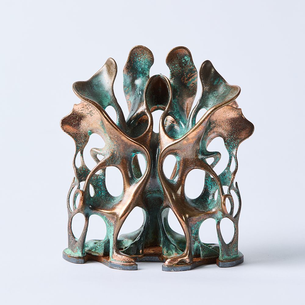 Юлия Низамутдинова (Cyberflora) (Скульптура - 
                  10 x 12 см) Liminal Biom_1