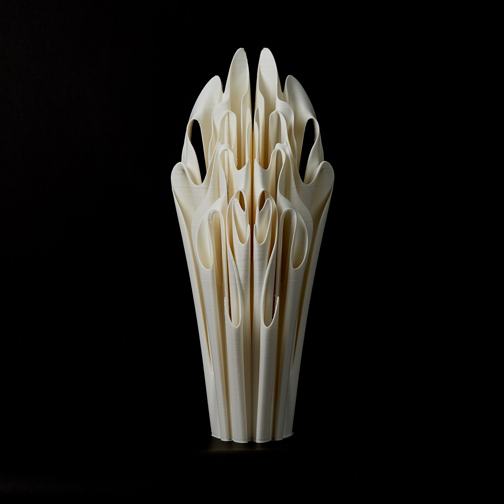 Юлия Низамутдинова (Cyberflora) (Объект - 
                  20 x 46 см) Ossis nicra