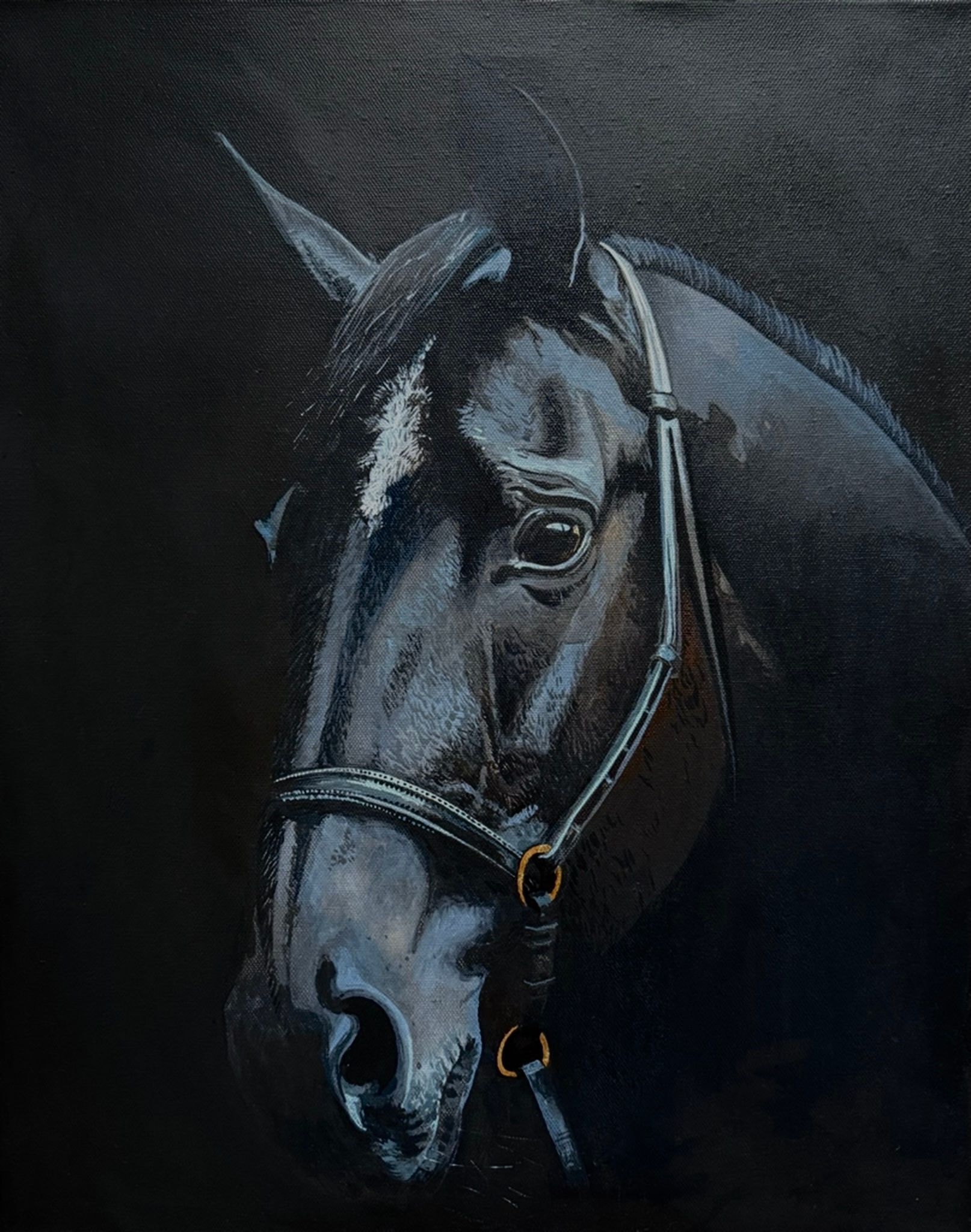 Алена Сокольникова (Картина, живопись - 
                  40 x 50 см) Портрет лошади