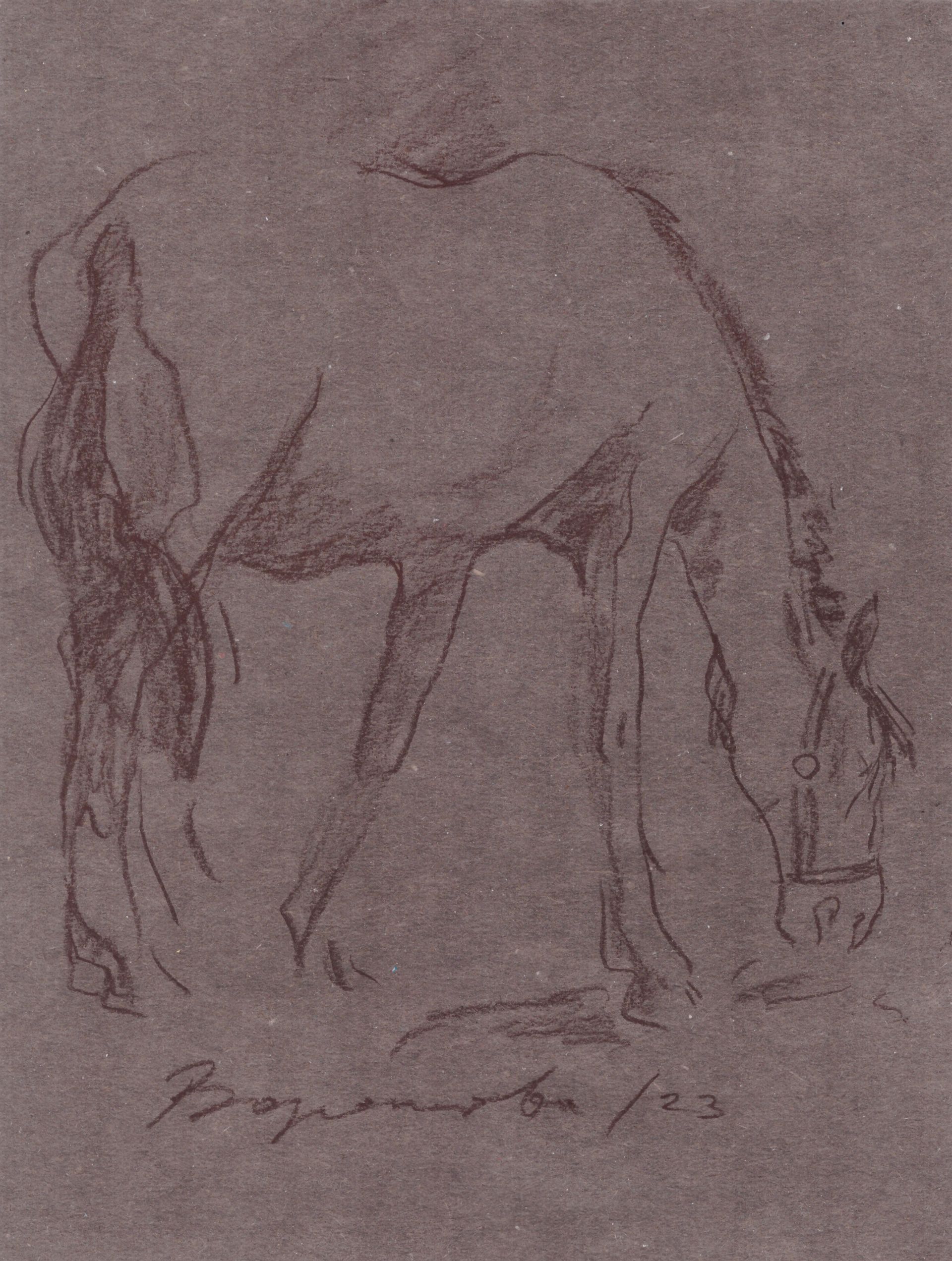 Надежда Воронцова (Авторская графика - 
                  19 x 25 см) Ветер