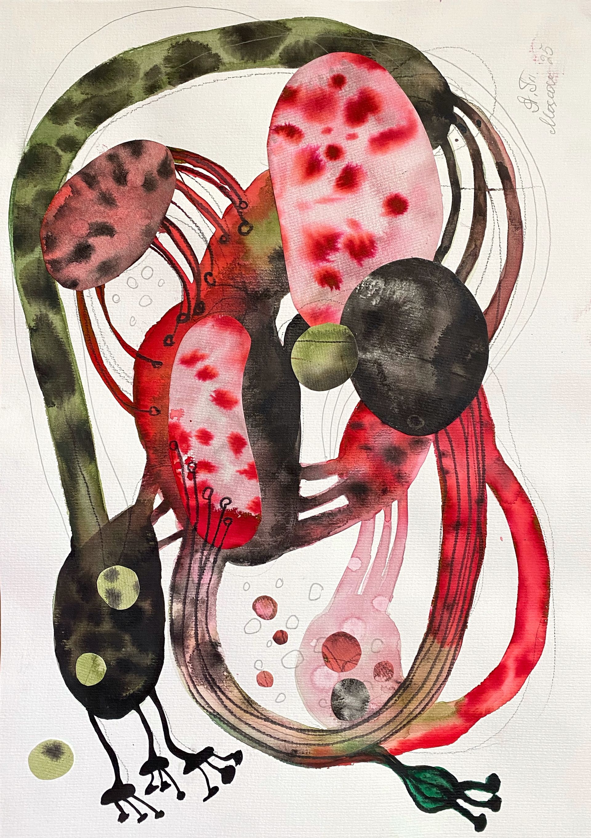 Анастасия Трапезникова (Авторская графика - 
                  40 x 50 см) Rodix vitalis