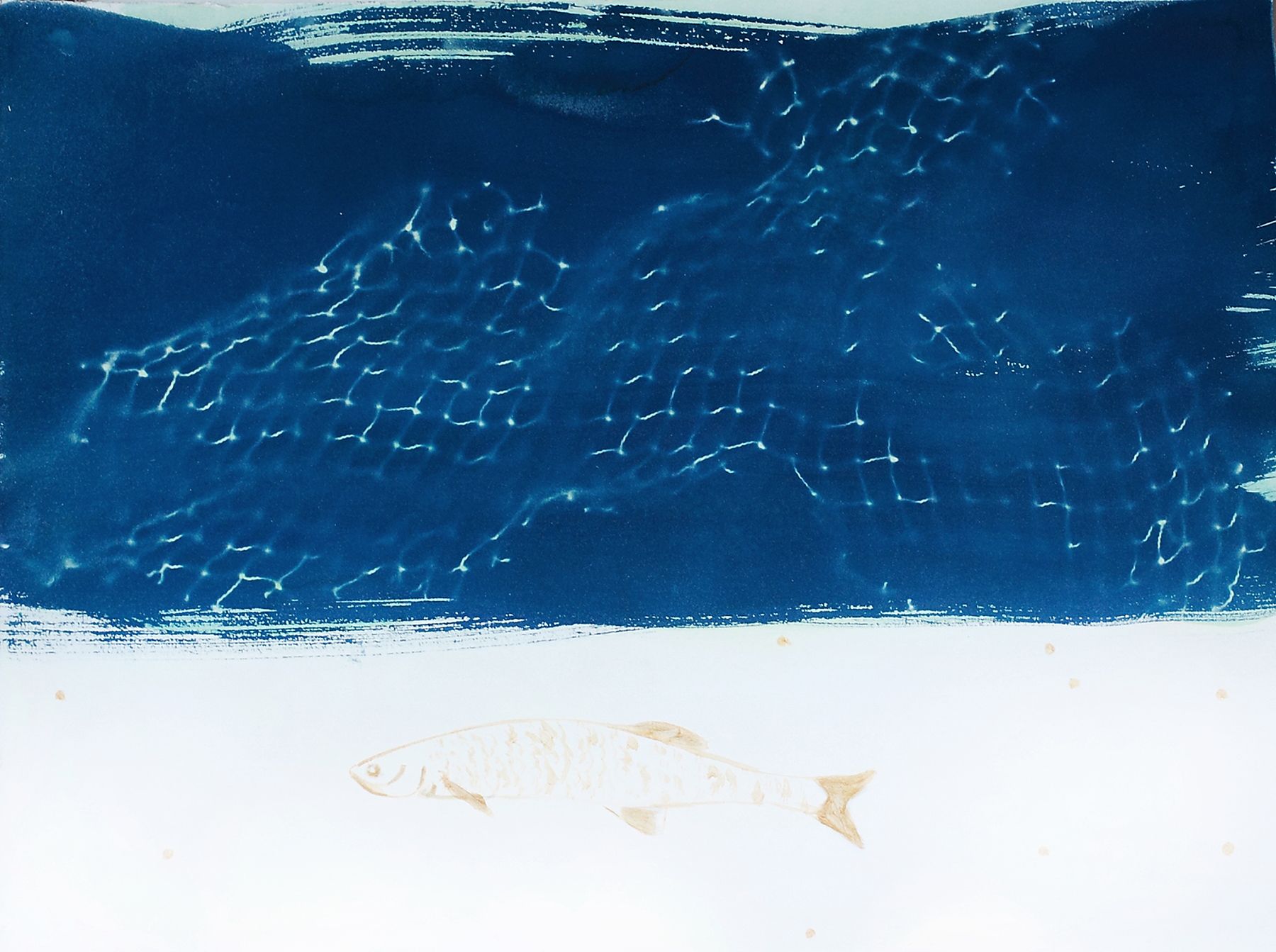 Дарья Парий (Авторская графика - 
                  38 x 28 см) Арктическая тоска