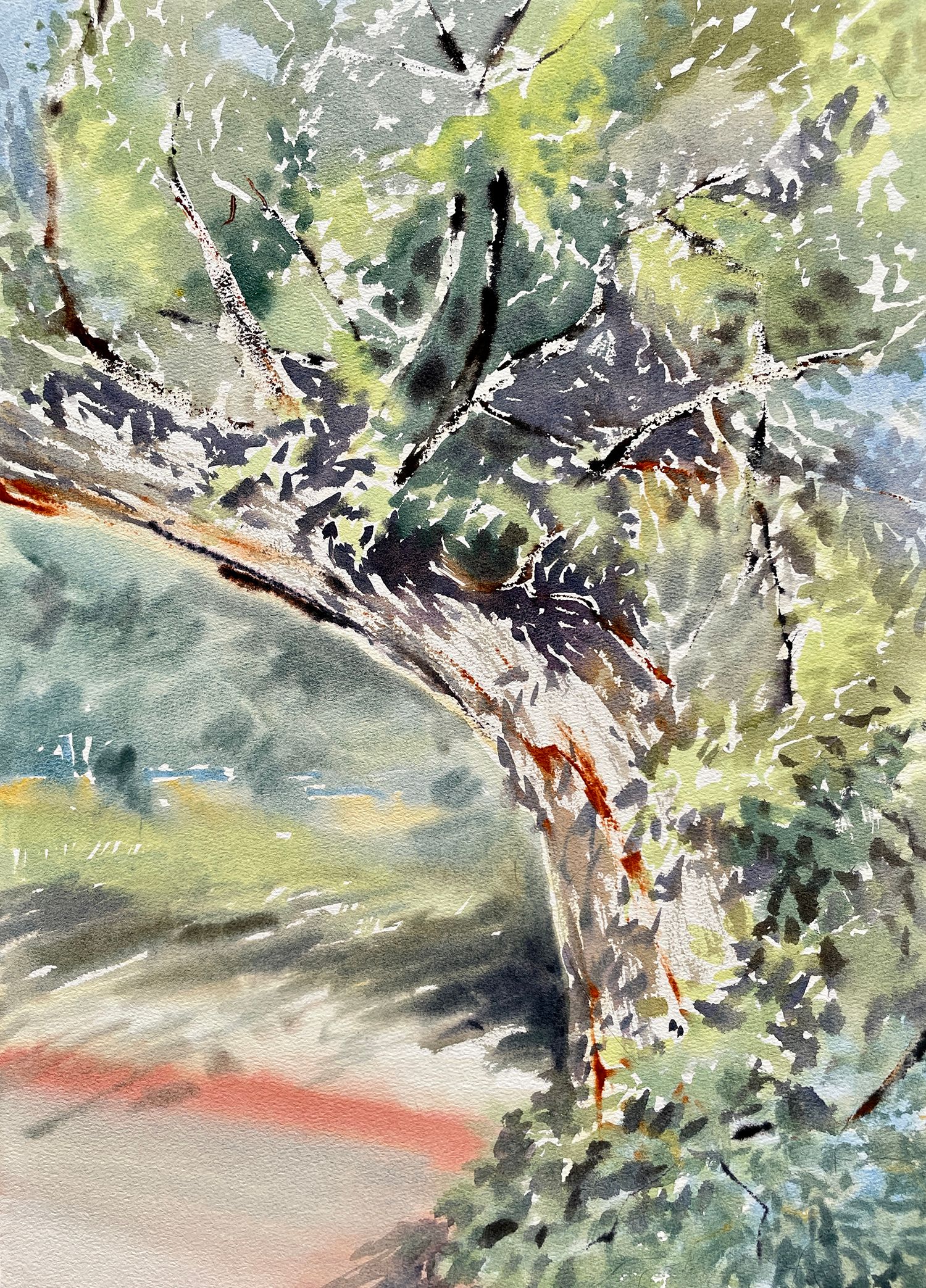 Юлия Третьякова (Авторская графика - 
                  38 x 54 см) Дерево желаний