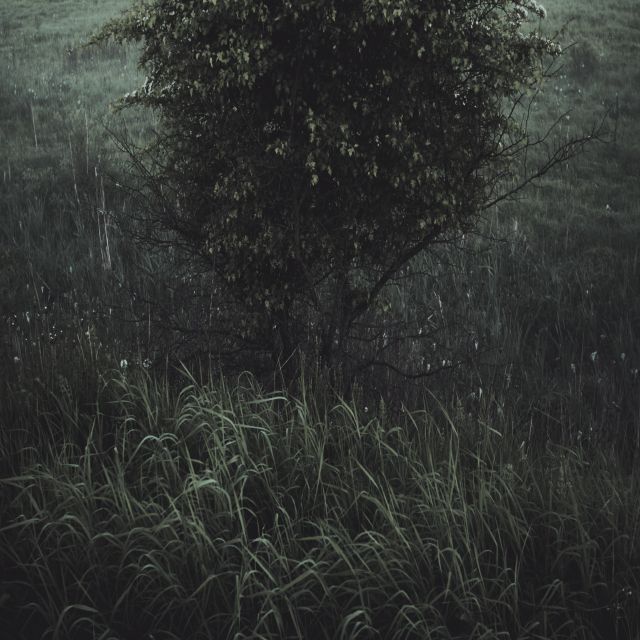 Станислав Марков (Фотография - 
                  90 x 90 см) Untitled III