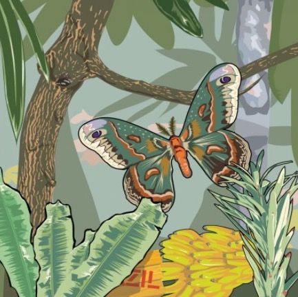 Гоша Острецов (Графика цифровая (принты) - 
                  70 x 70 см) Бабочка
