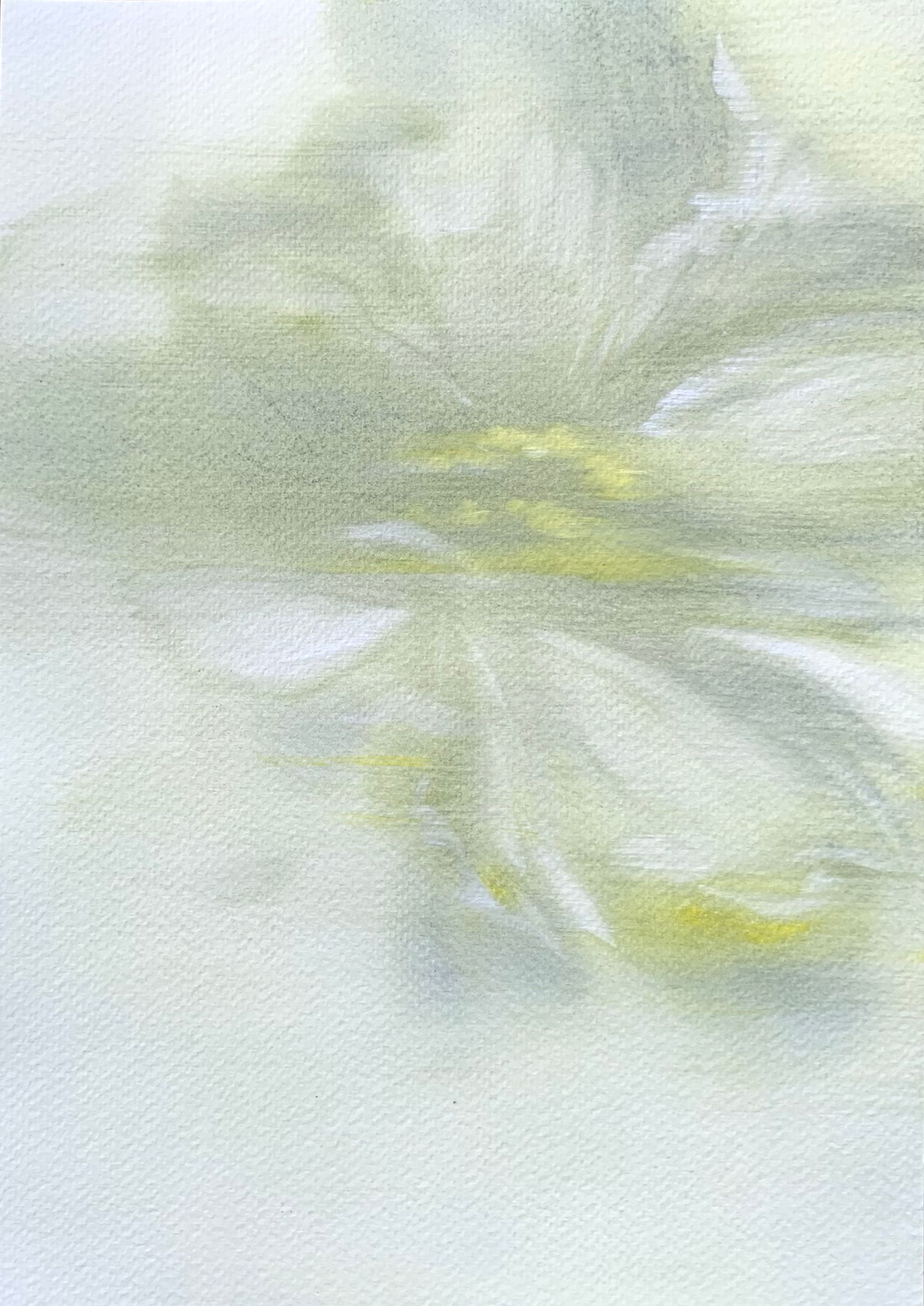 Ульяна Соловей (Авторская графика - 
                  30 x 40 см) Лист / анемон III