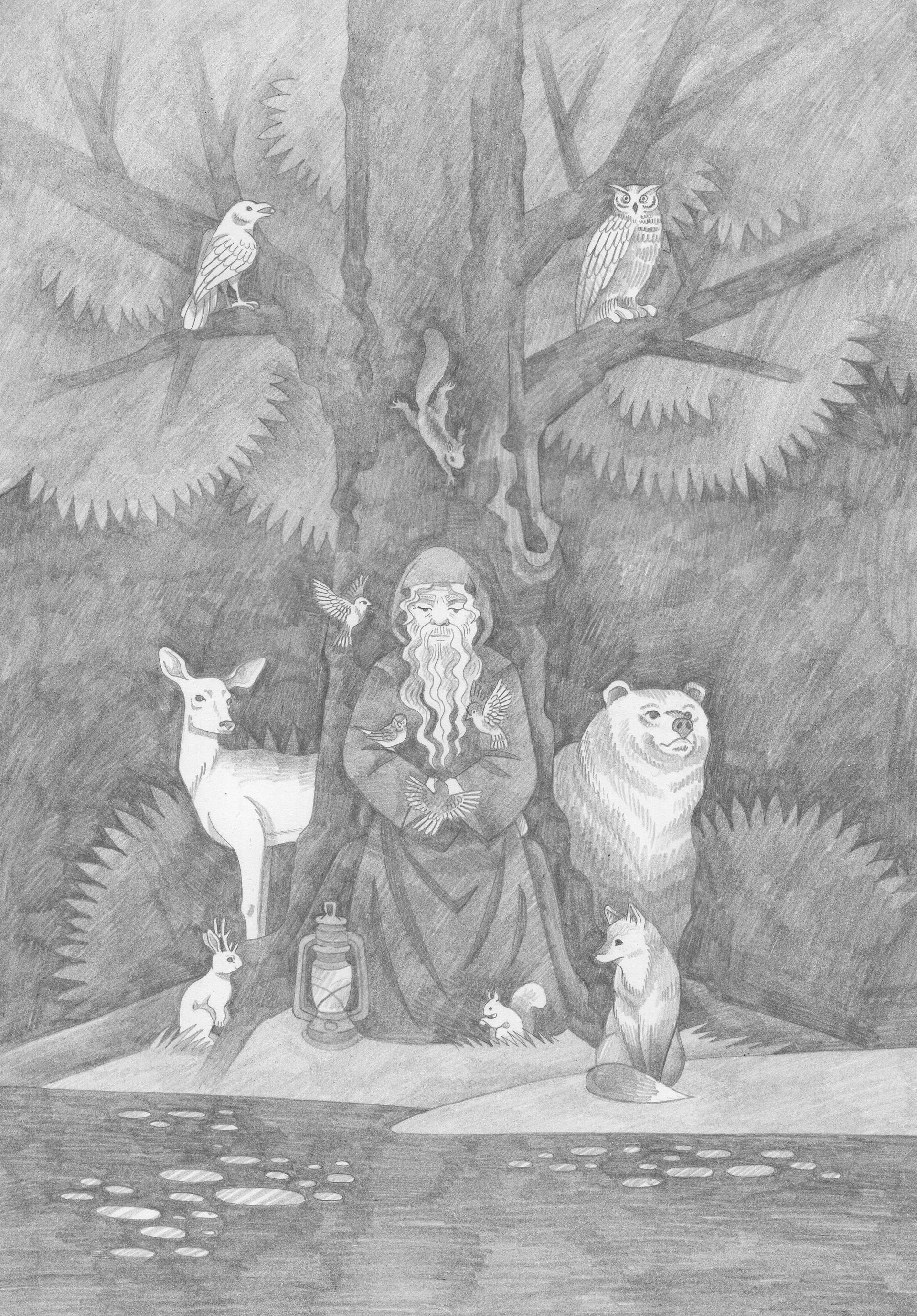 Витана Маковская (Авторская графика - 
                  21 x 29.7 см) Старец