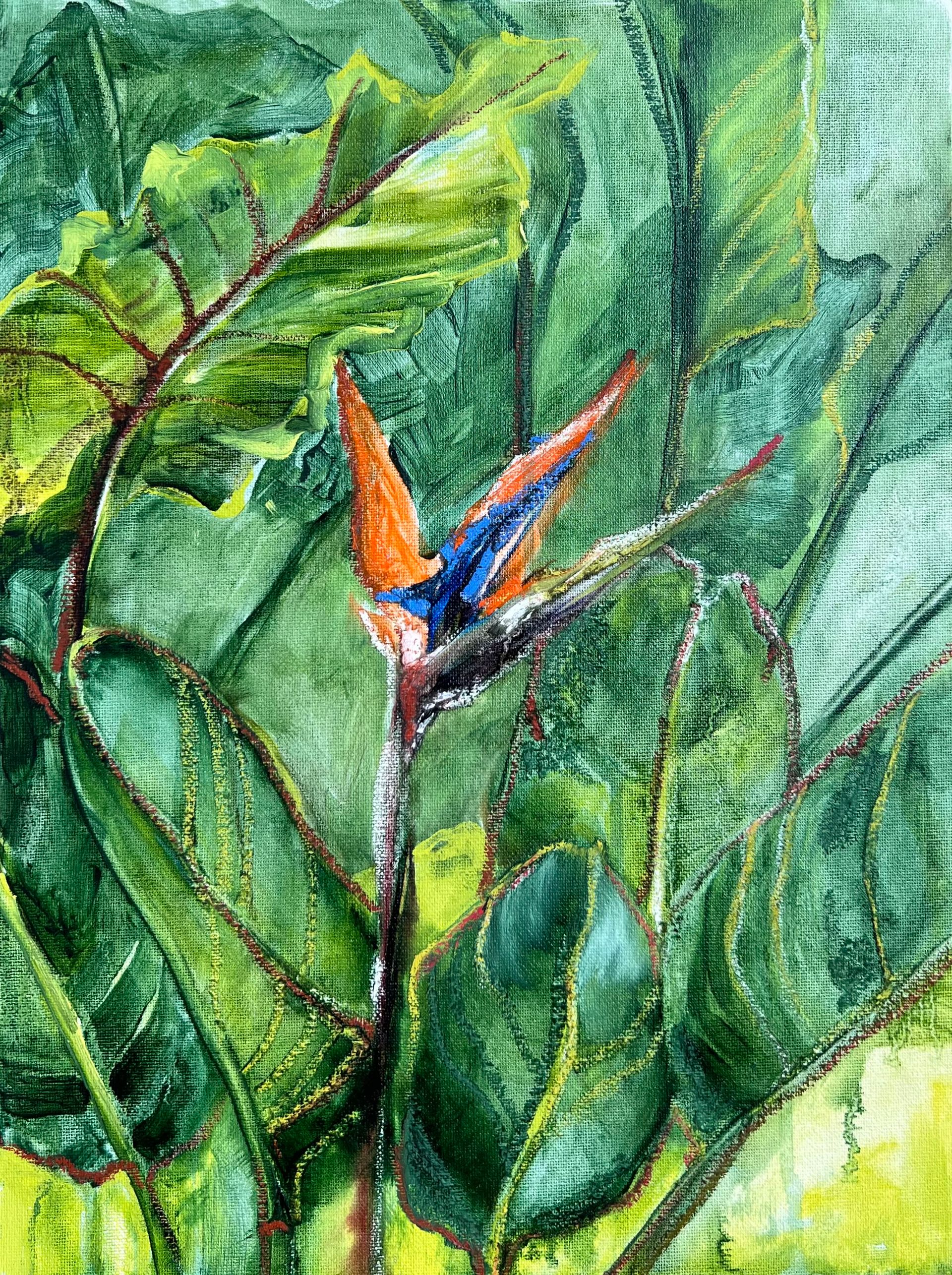 Инна Сумина (Авторская графика - 
                  30 x 40 см) Тропики. Стерлиция