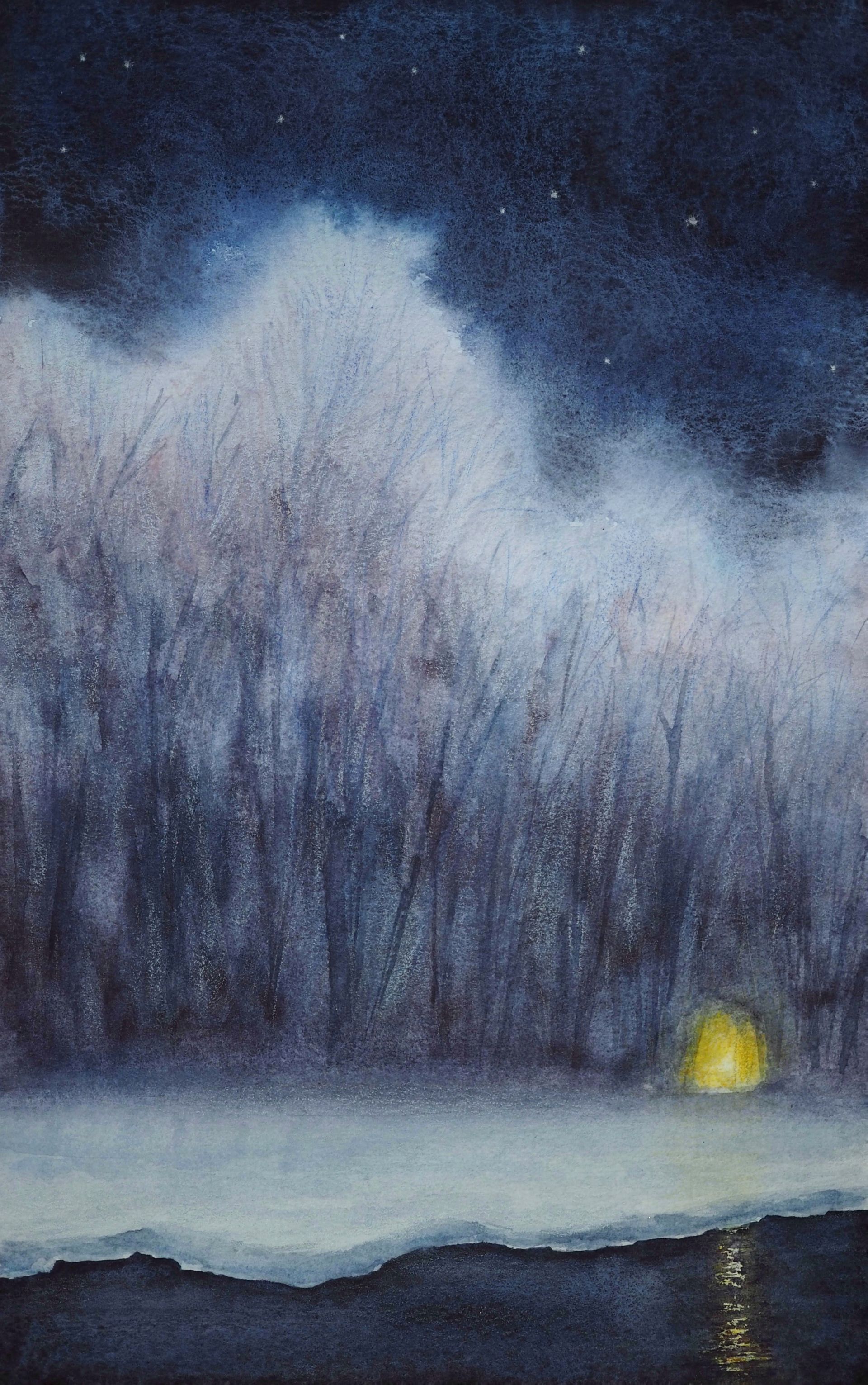 Заира Жабали (Авторская графика - 
                  20 x 31 см) Зимняя ночь. Композиция II