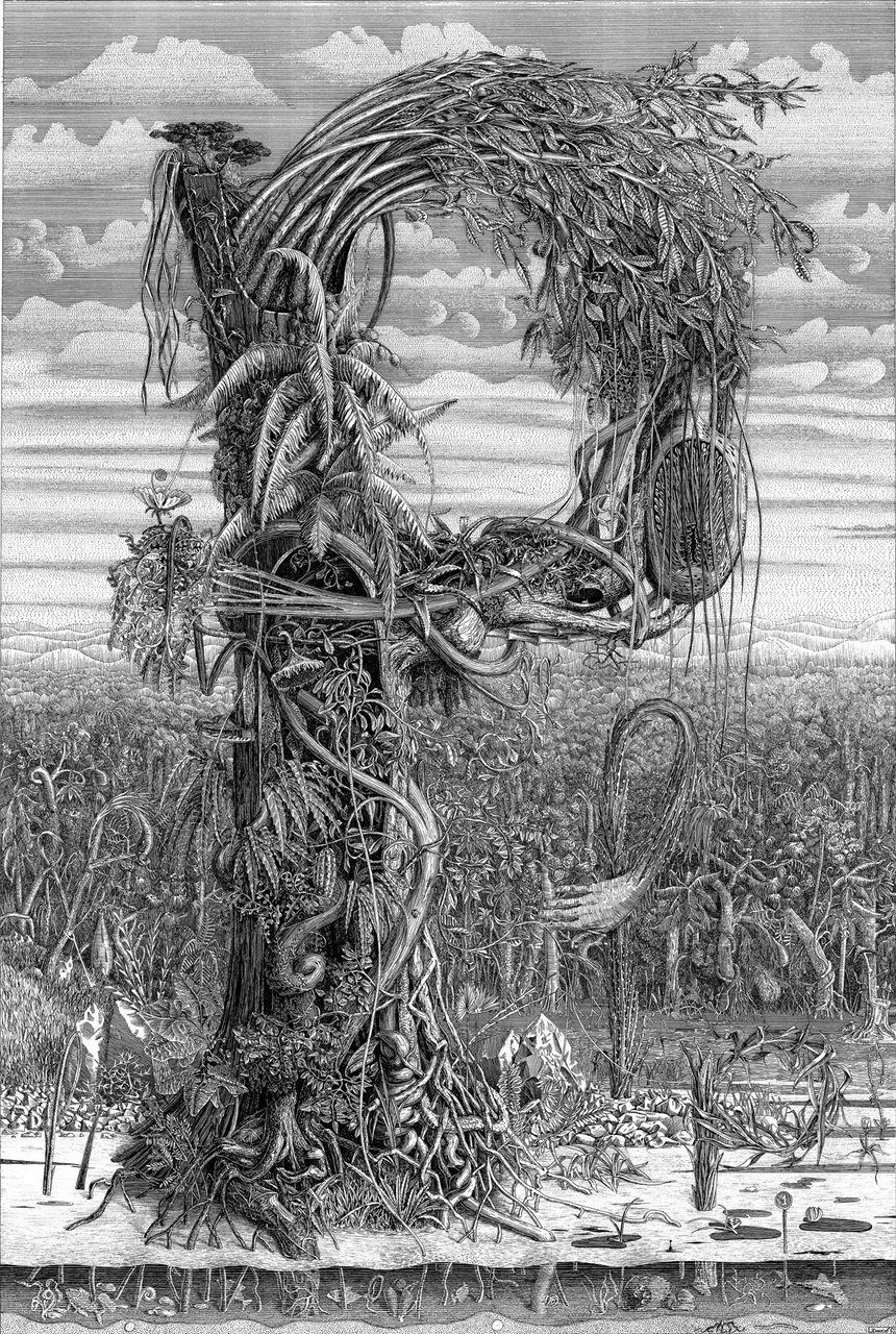 Иван Языков (Графика печатная - 
                  50 x 70 см) Р - Рисунки разрезов растений
