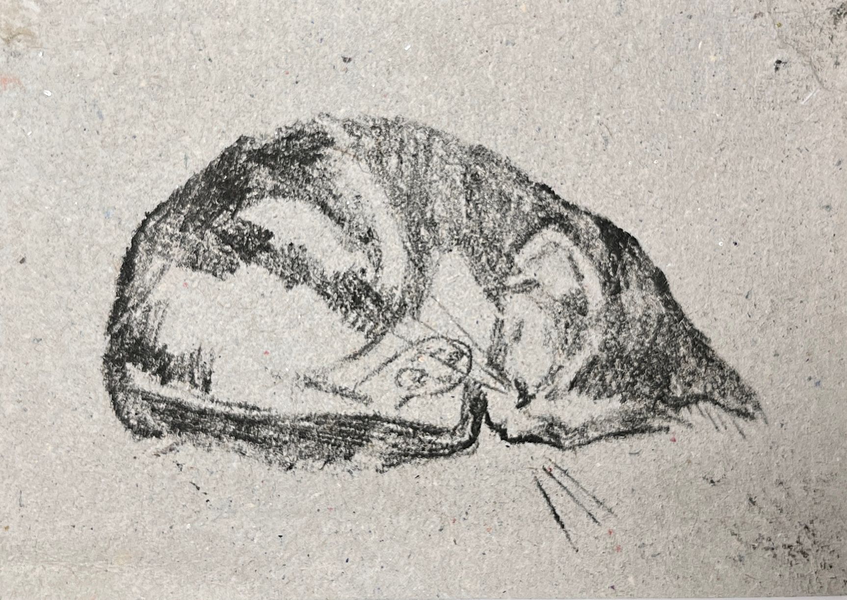 Люсинэ Туманян (Графика печатная - 
                  24.5 x 17 см) Котёнок