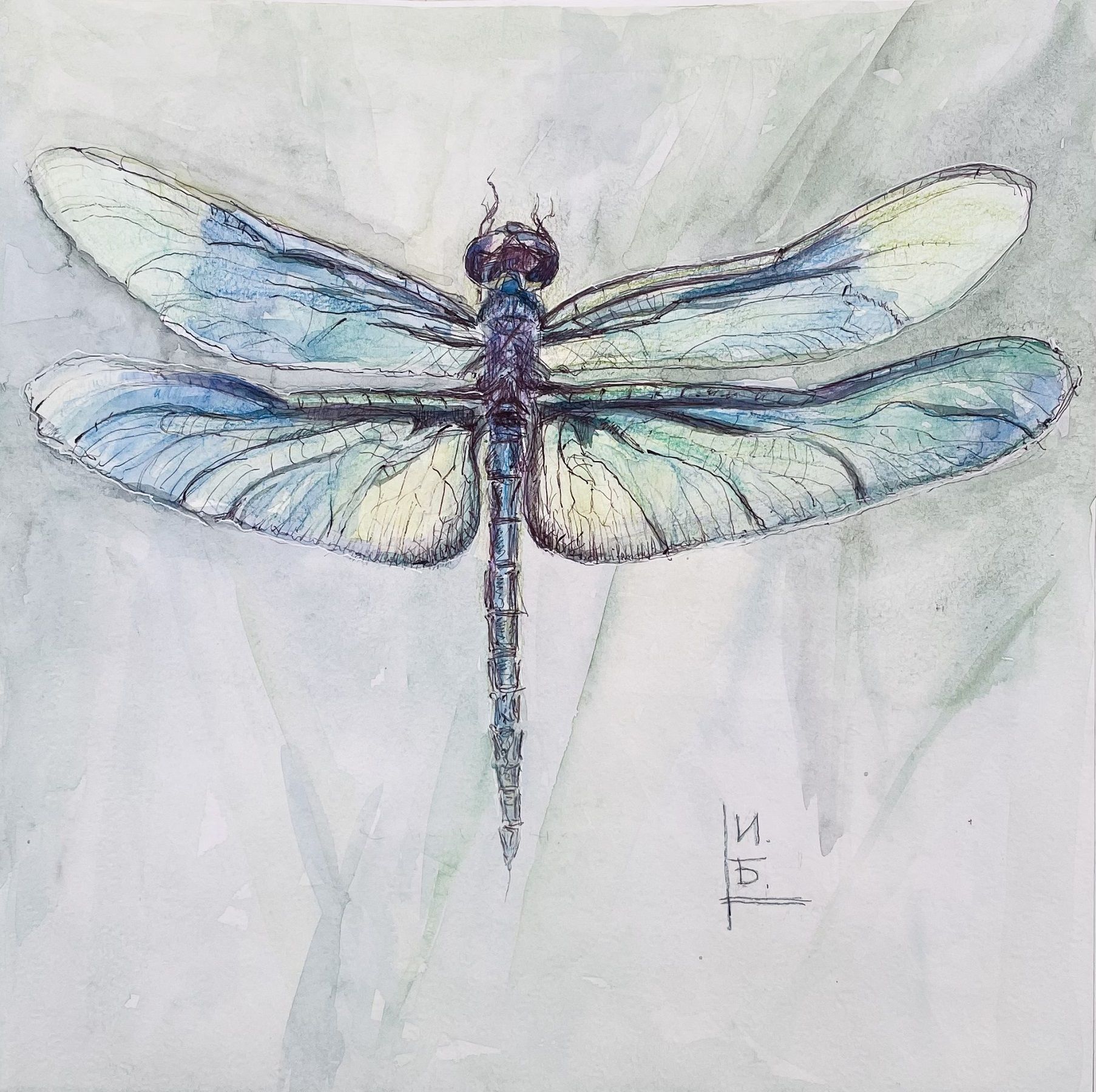 Ирина Булдина (Авторская графика - 
                  29 x 29 см) Стрекоза