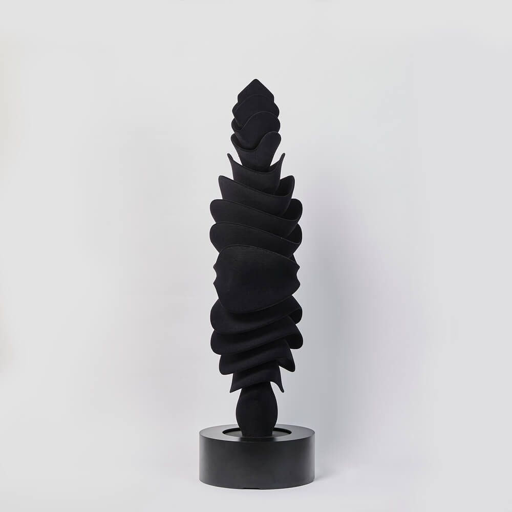 Юлия Низамутдинова (Cyberflora) (Объект - 
                  25 x 100 см) Umbra forma 1
