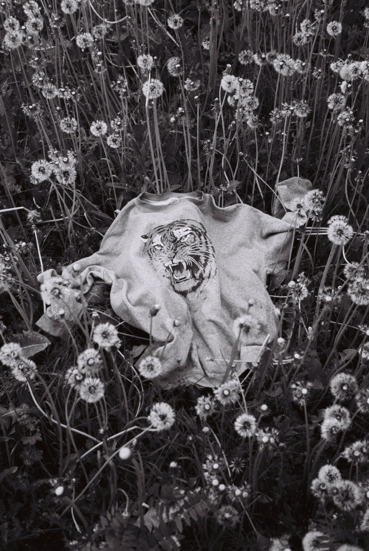 Жанна Татарова (Фотография - 
                  30 x 45 см) Жанна Татарова На память VIII. 30х45