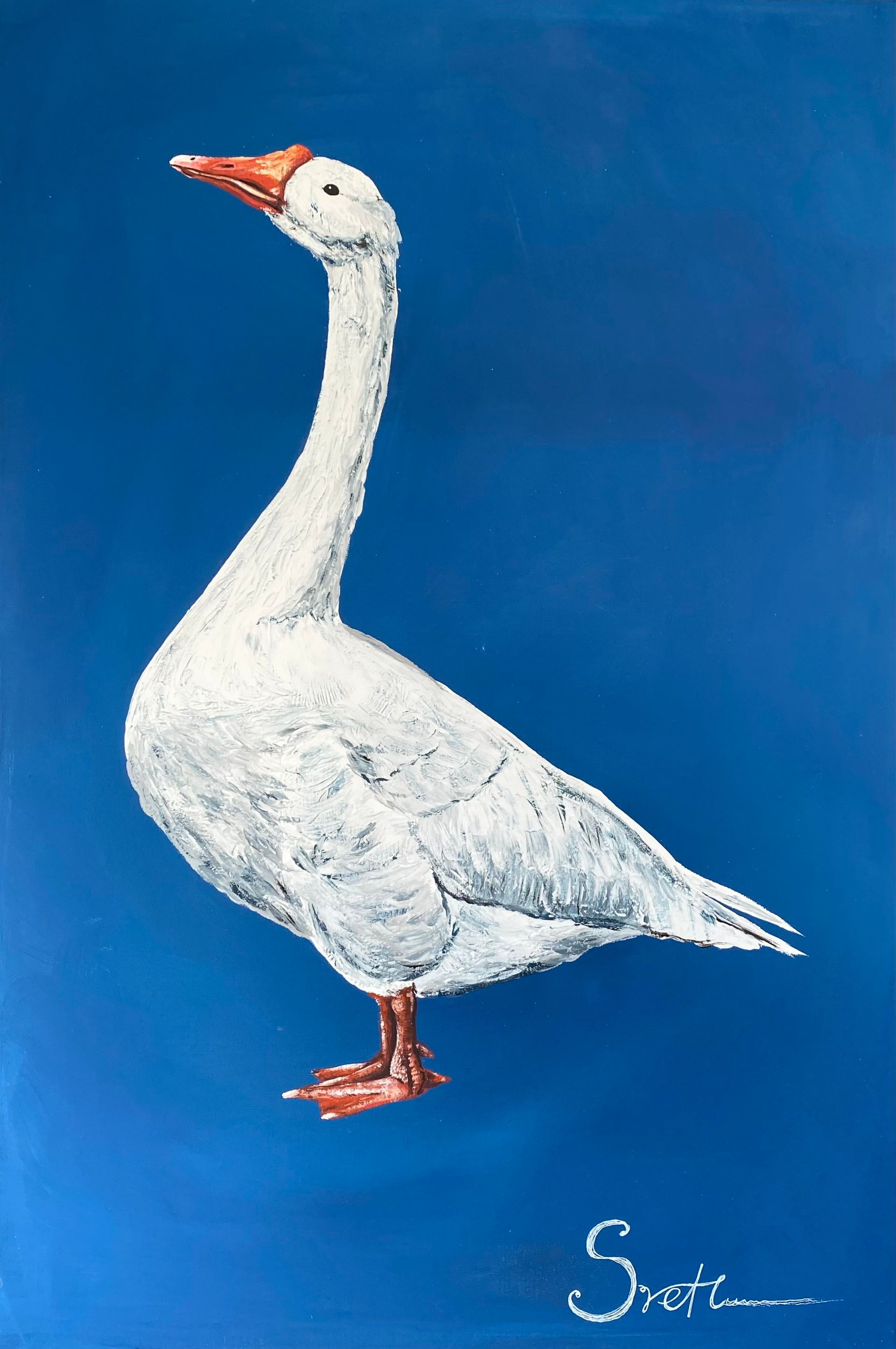 Светлана Евсеева (Картина, живопись - 
                  40 x 60 см) Гусь