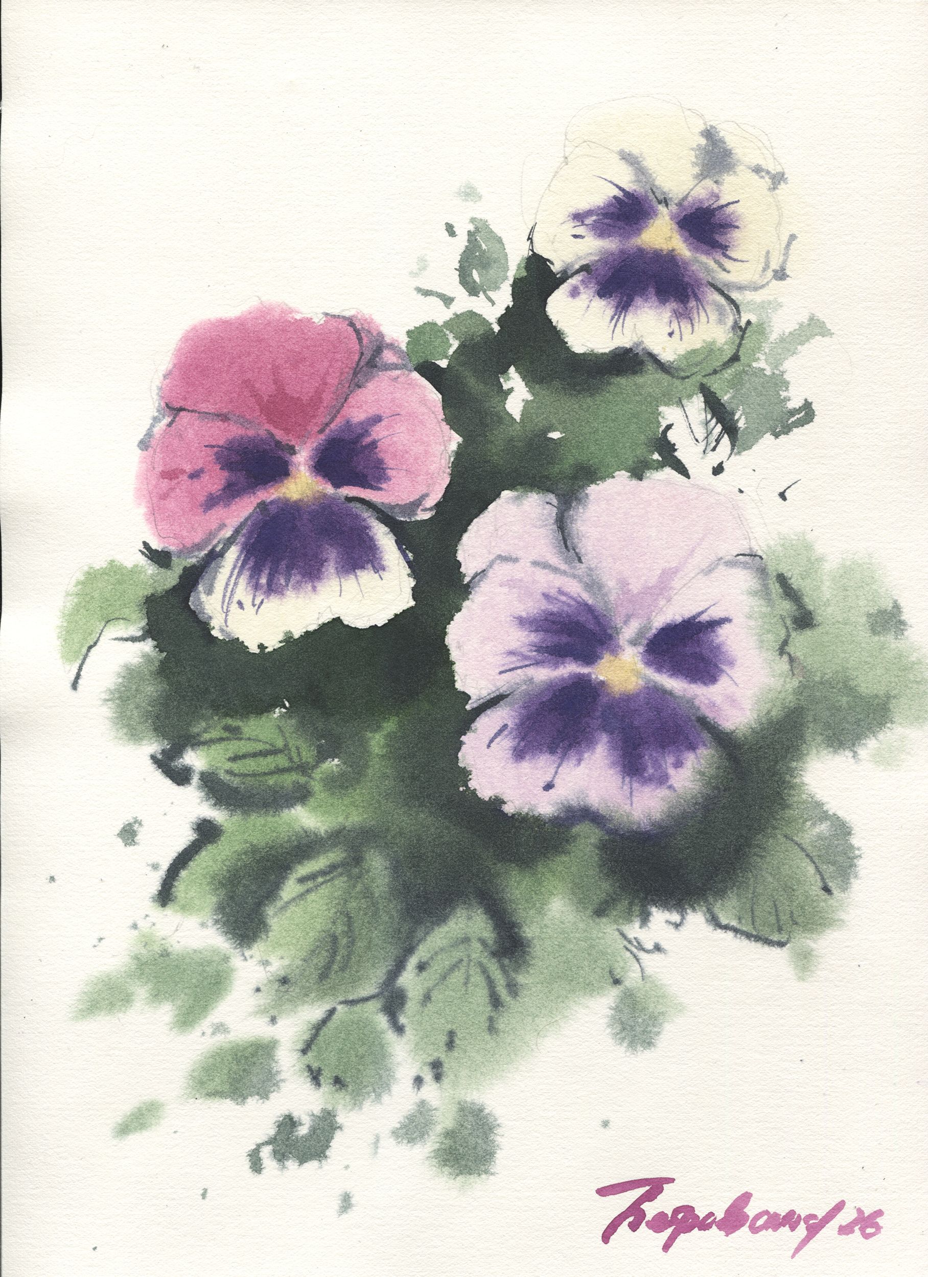 Ирина Петровская (Авторская графика - 
                  23 x 30.5 см) Виолы