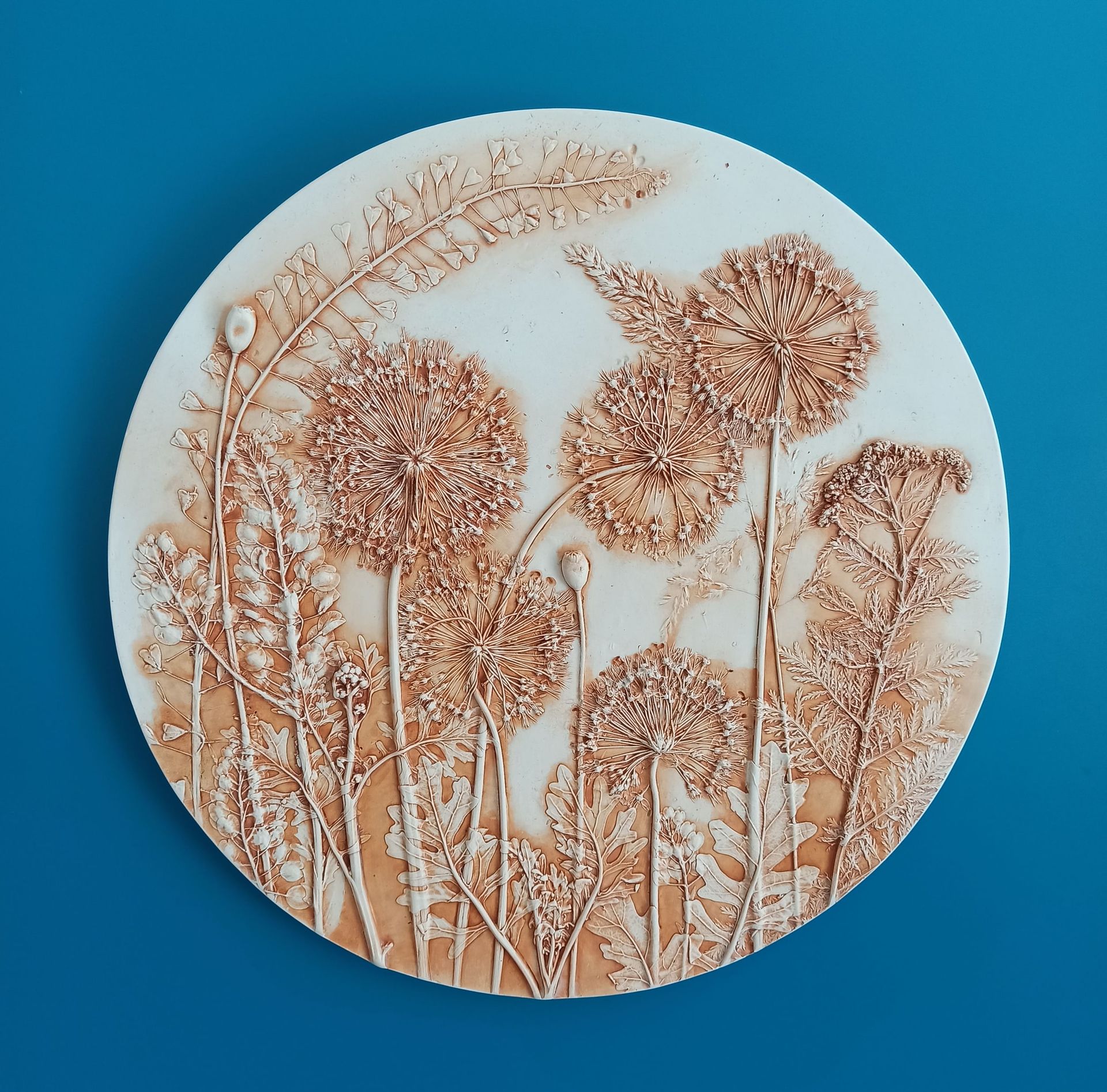Елена Новожилова (Объект - 
                  33 x 33 см) Ботанический барельеф "ALLIUM #2"