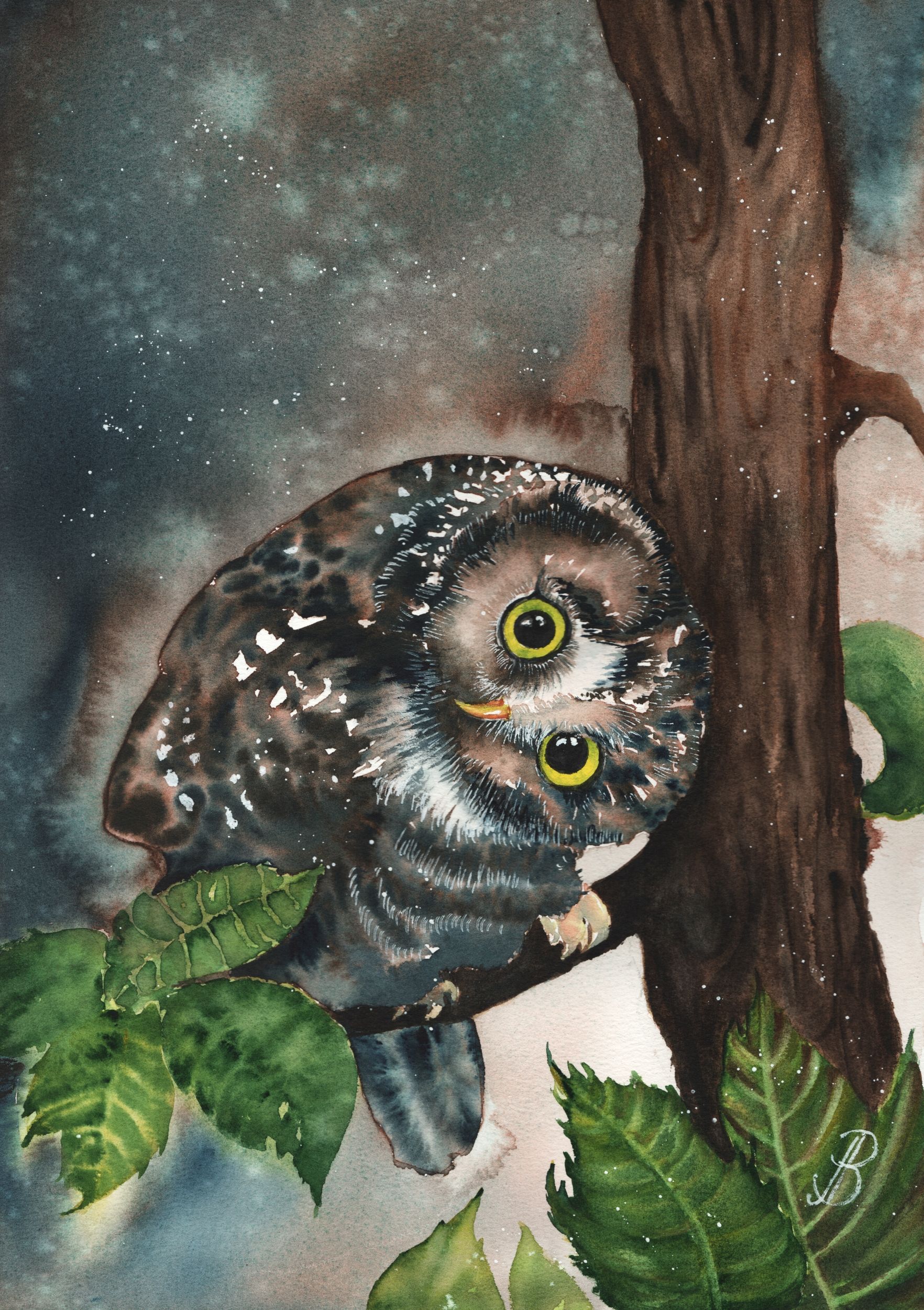 Алла Валежина (Авторская графика - 
                  30 x 42 см) Любопытный сычик