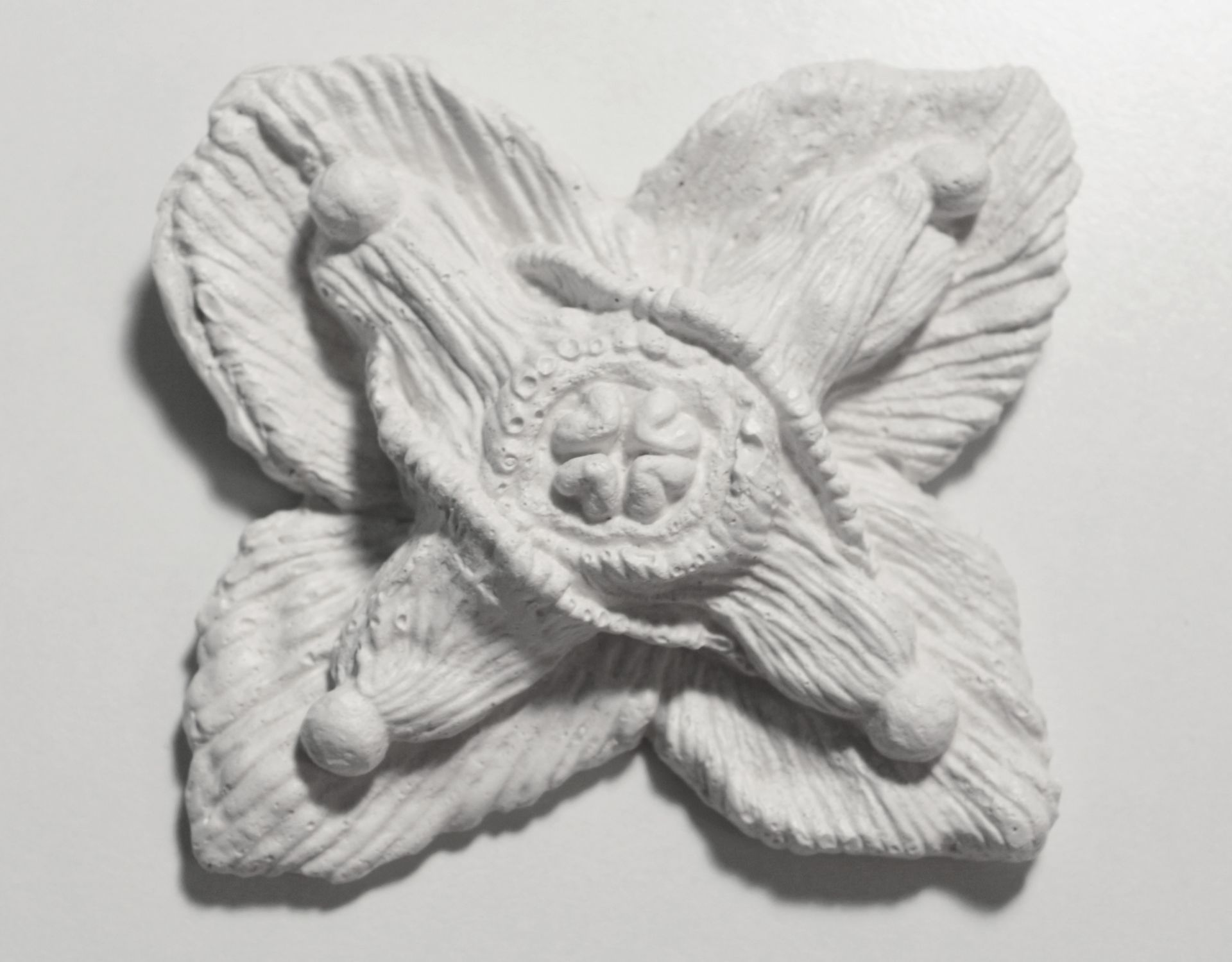 Егор Щаблыкин (Объект - 
                  11 x 11 см) Epimedium (Цветок эльфов)