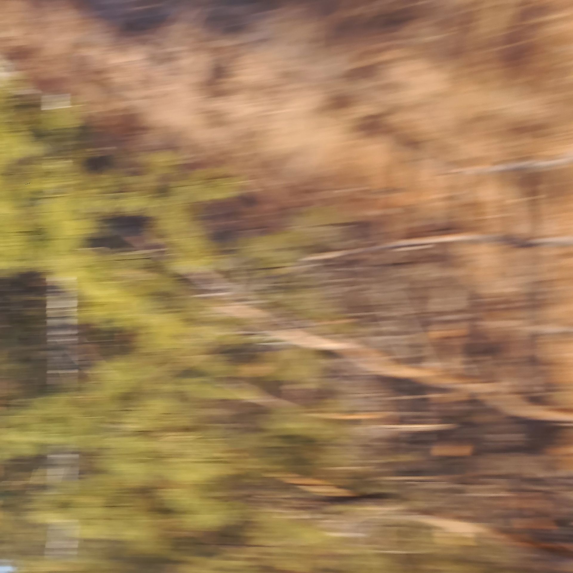 Татьяна Сенчило (Фотография - 
                  50 x 50 см) "ПРОСТРАНСТВО ТИШИНЫ" из проекта "Исчезнуть, замолчать, услышать"