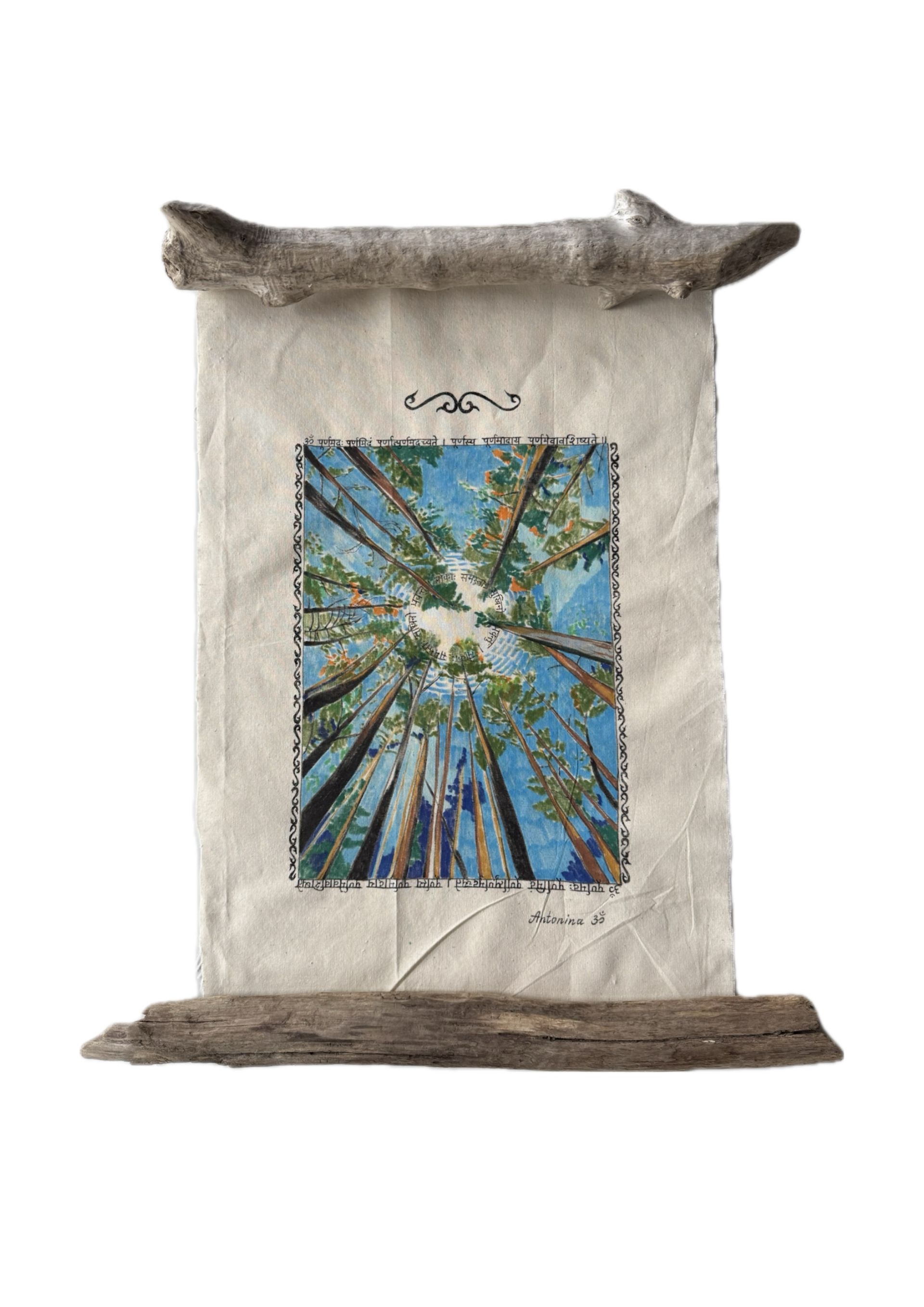 Антонина Осипенко (Объект - 
                  54 x 60 см) Расширение