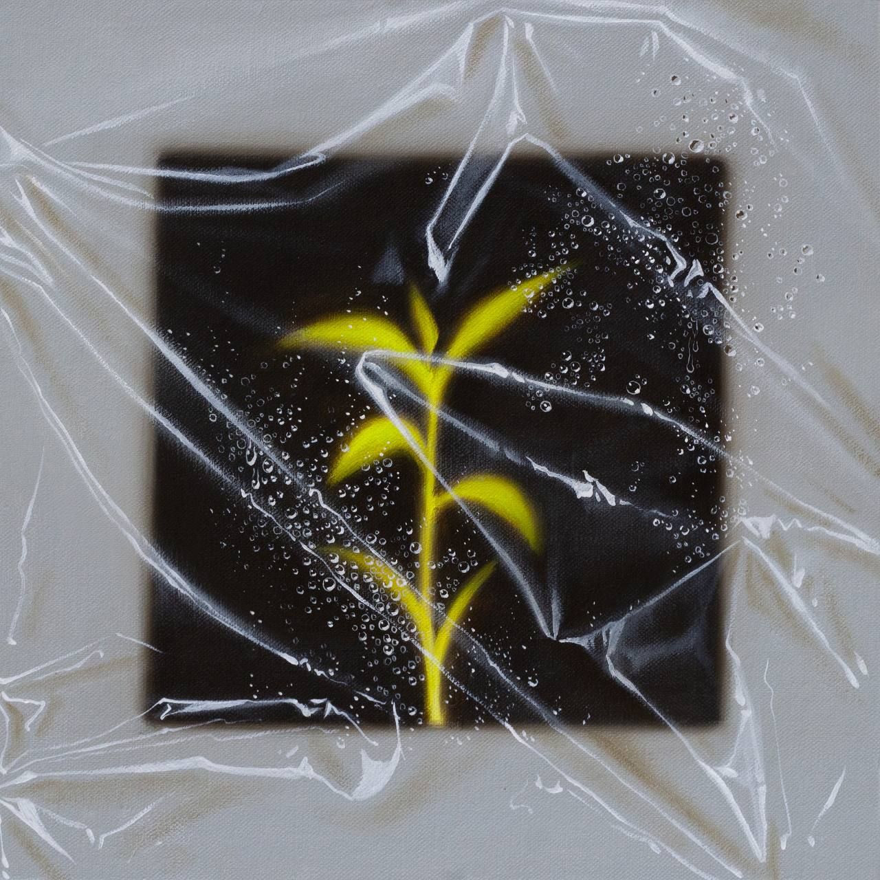 Виктор Пономаренко (Картина, живопись - 
                  30 x 30 см) Зеленый росток 12