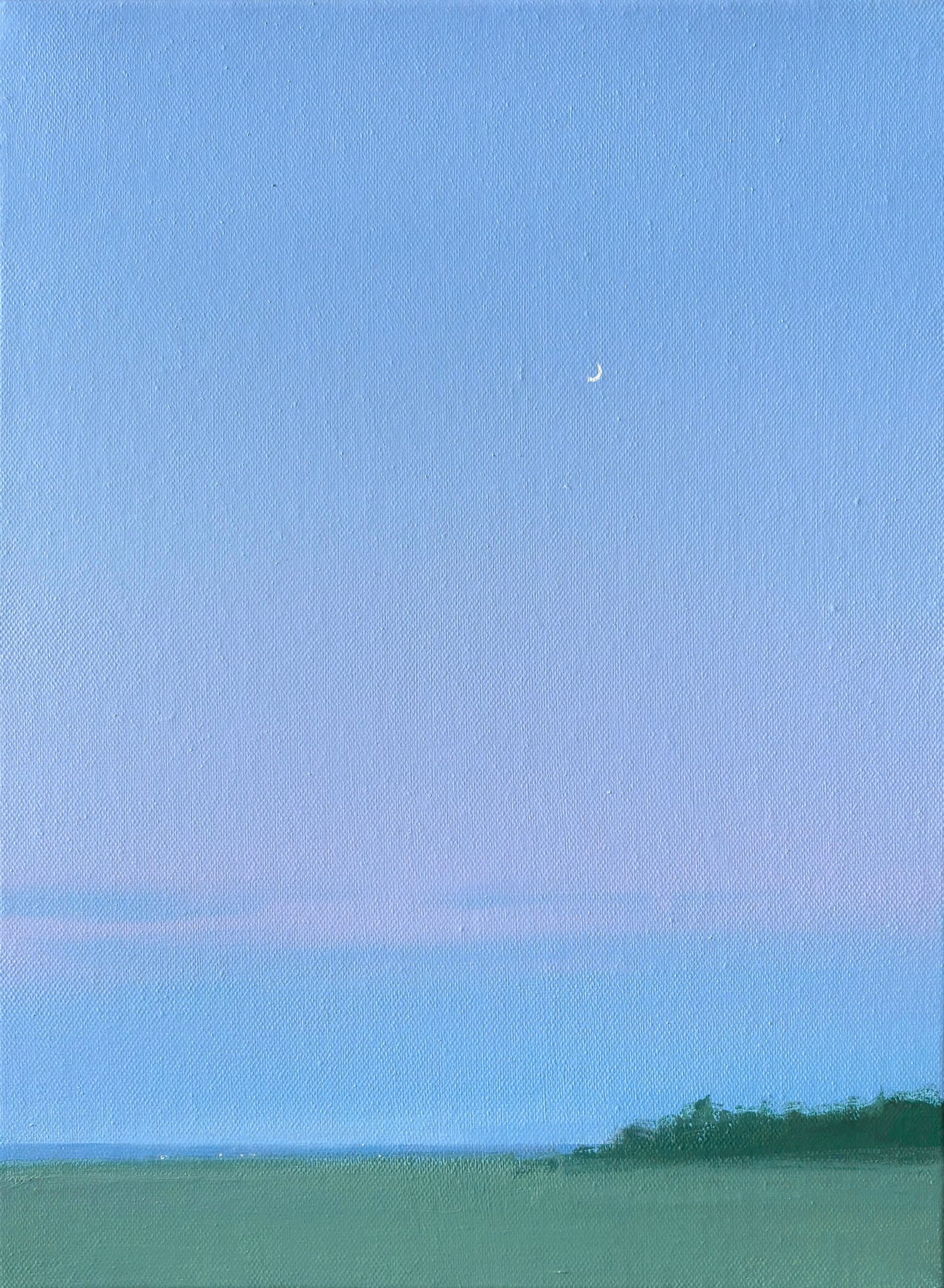 Александра Савина (Картина, живопись - 
                  30 x 40 см) Вечер
