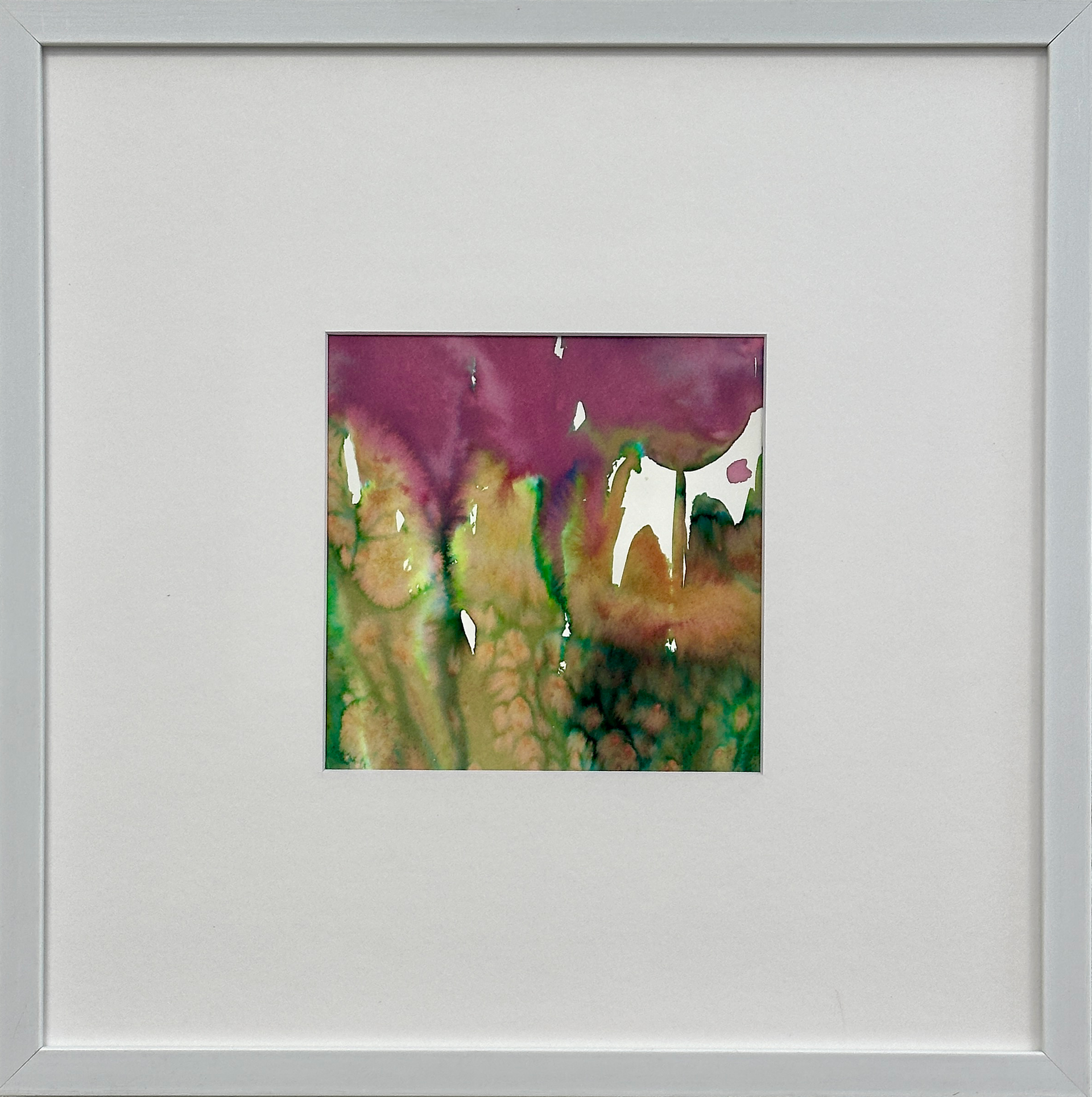 Анастасия Попова (Авторская графика - 
                  40 x 40 см) Тюльпаны