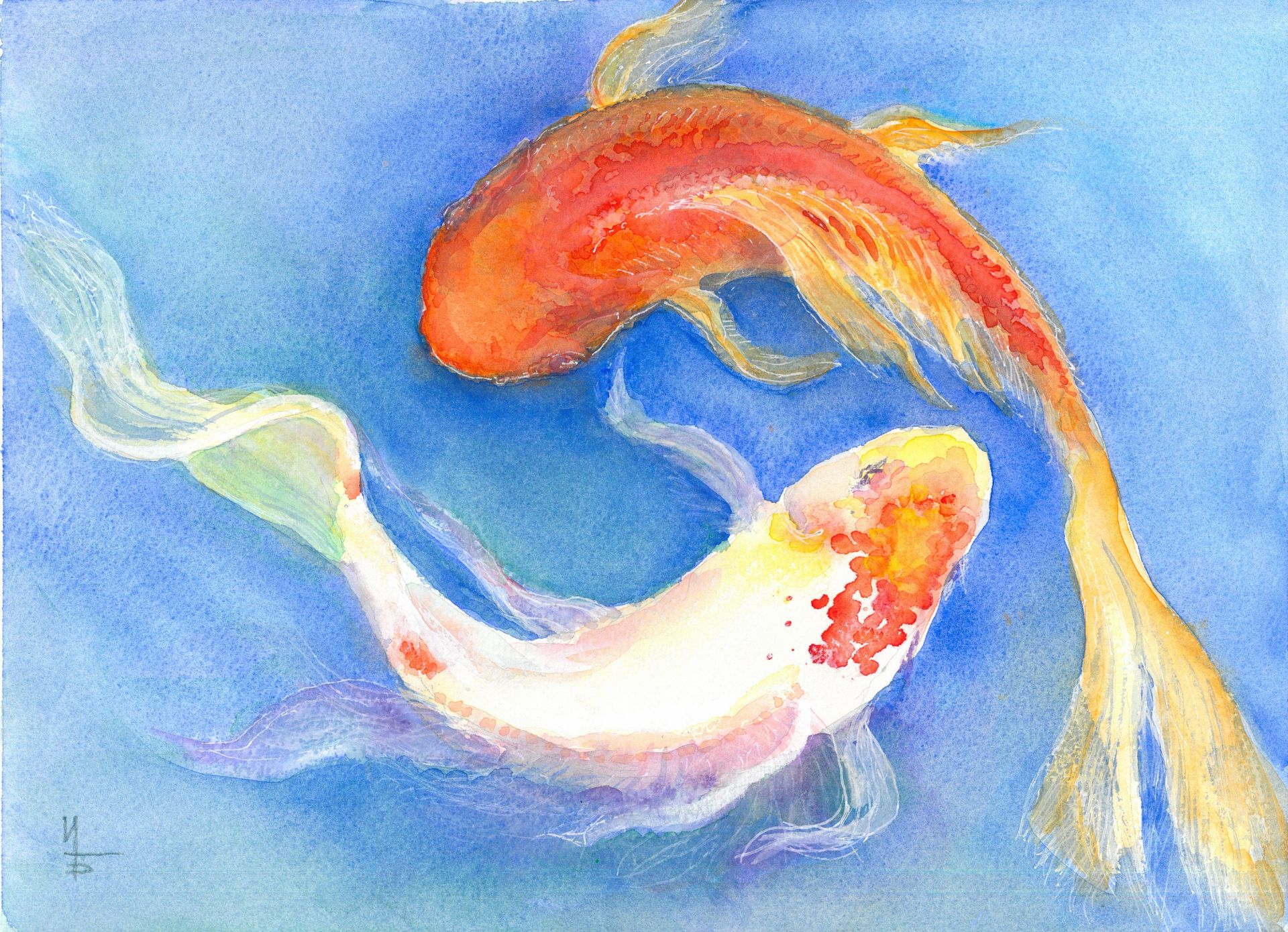 Ирина Булдина (Авторская графика - 
                  31 x 23 см) Карпы Кои