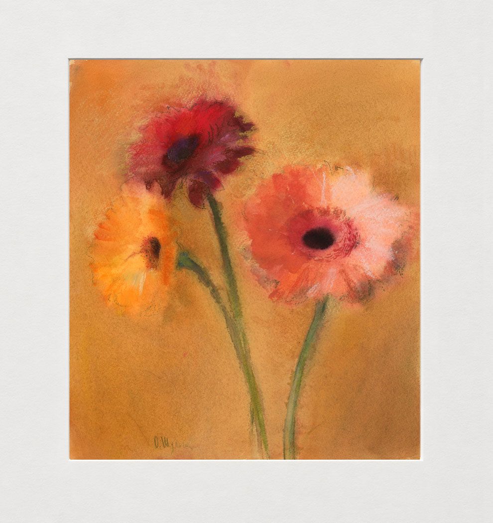 Oксана Шульга (Авторская графика - 
                  50 x 55 см) Герберы