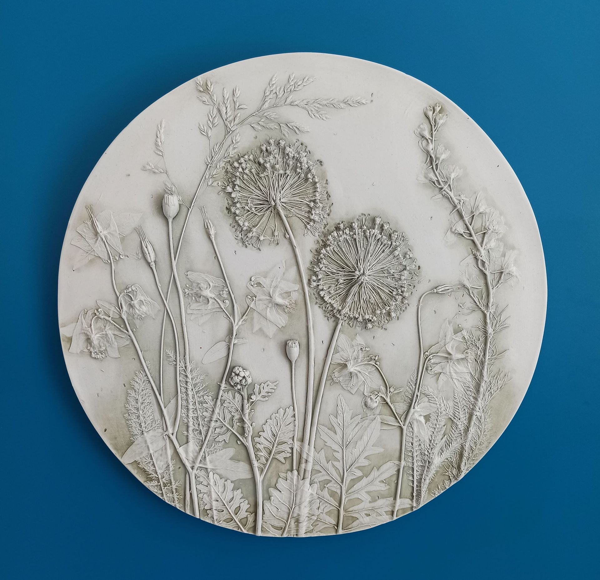 Елена Новожилова (Объект - 
                  33 x 33 см) Ботанический барельеф "ALLIUM #1"