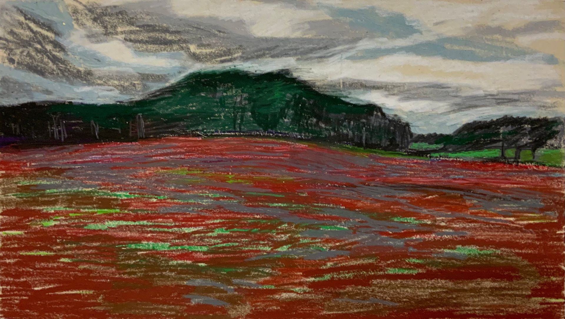 Елизавета Тульчинская (Авторская графика - 
                  59 x 33 см) Поле